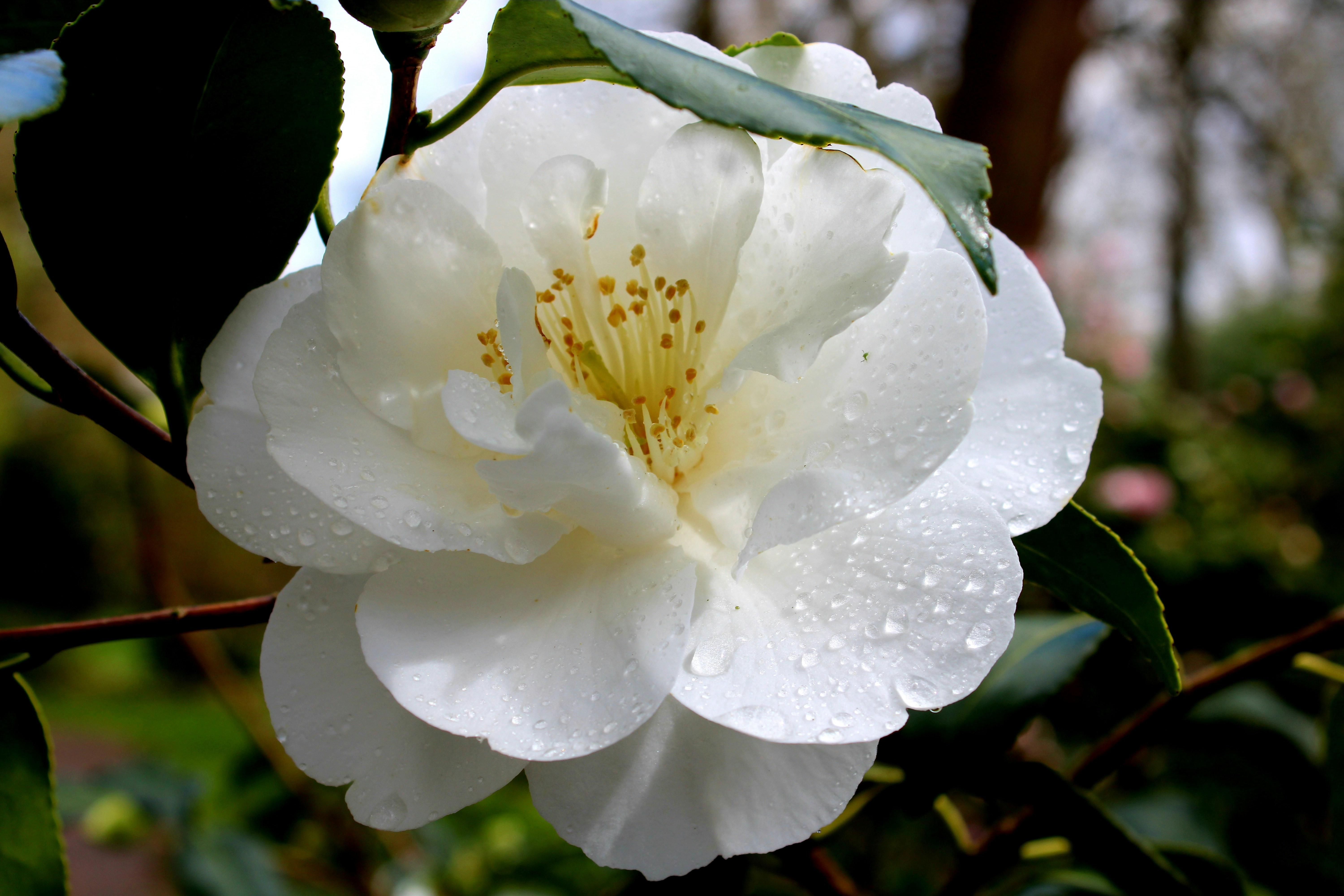 Photo by sadiecoulter