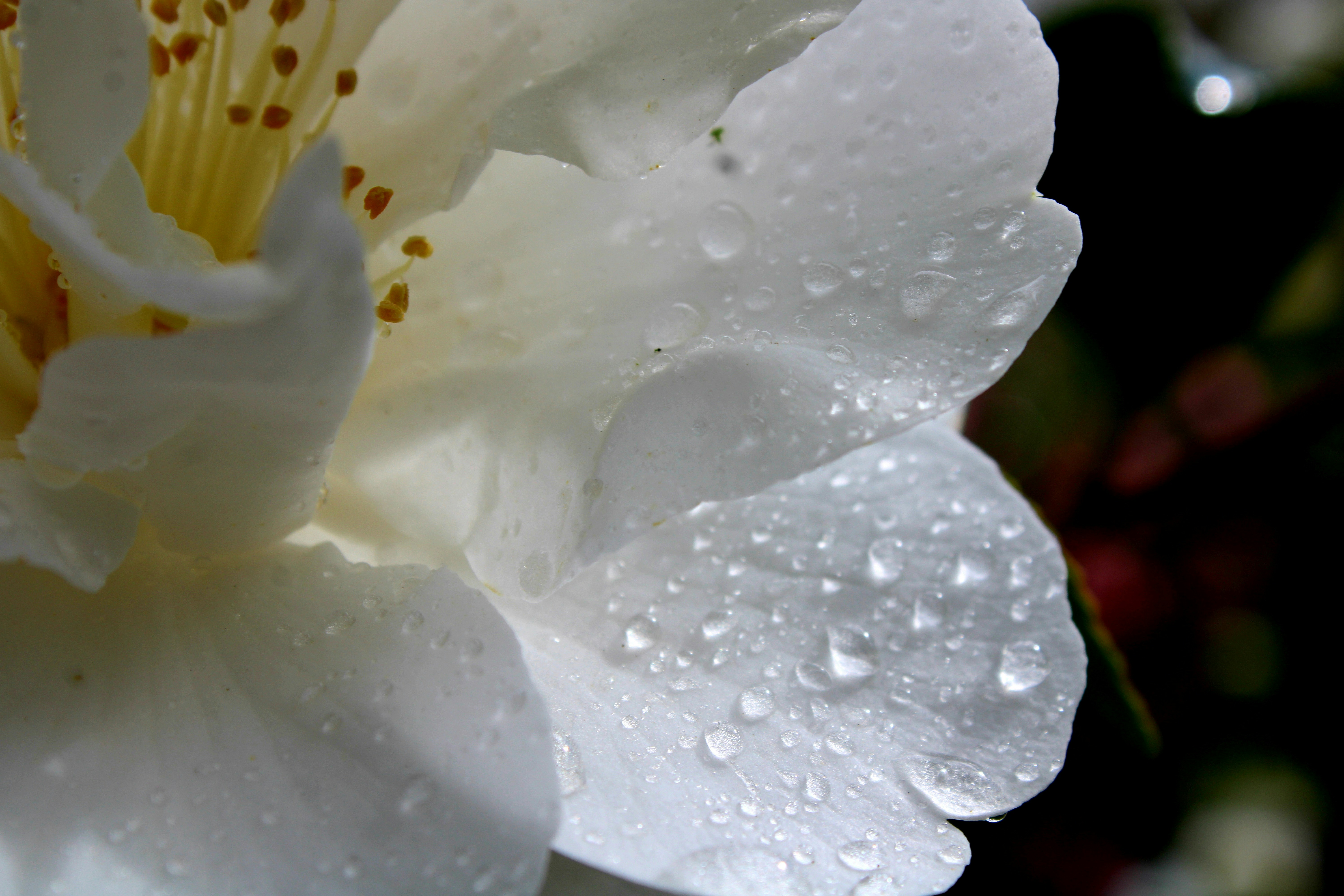 Photo by sadiecoulter