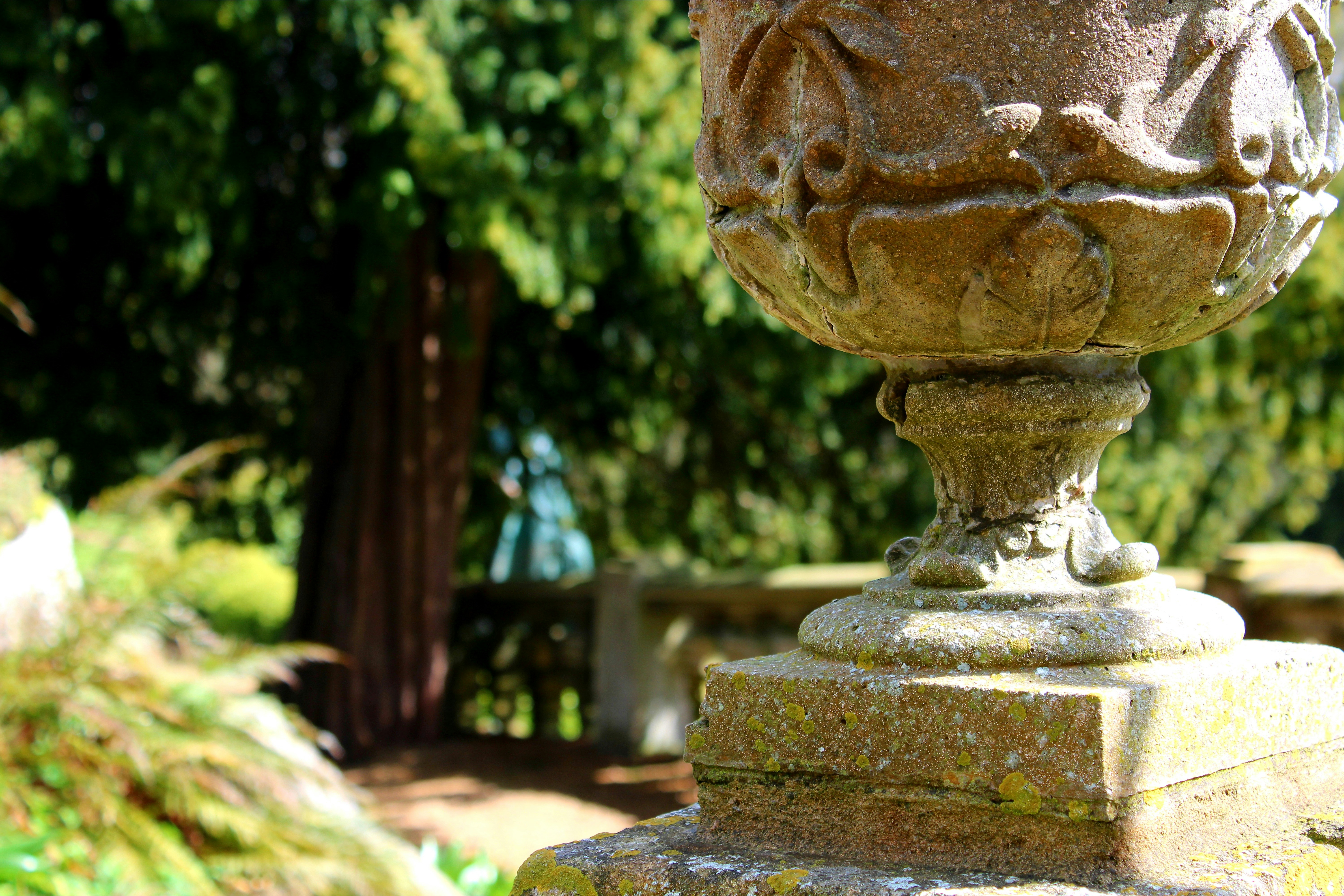 Photo by sadiecoulter