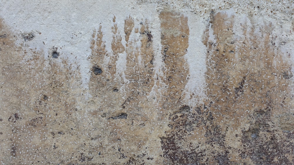 eine Nahaufnahme einer Wand mit Wasser darauf