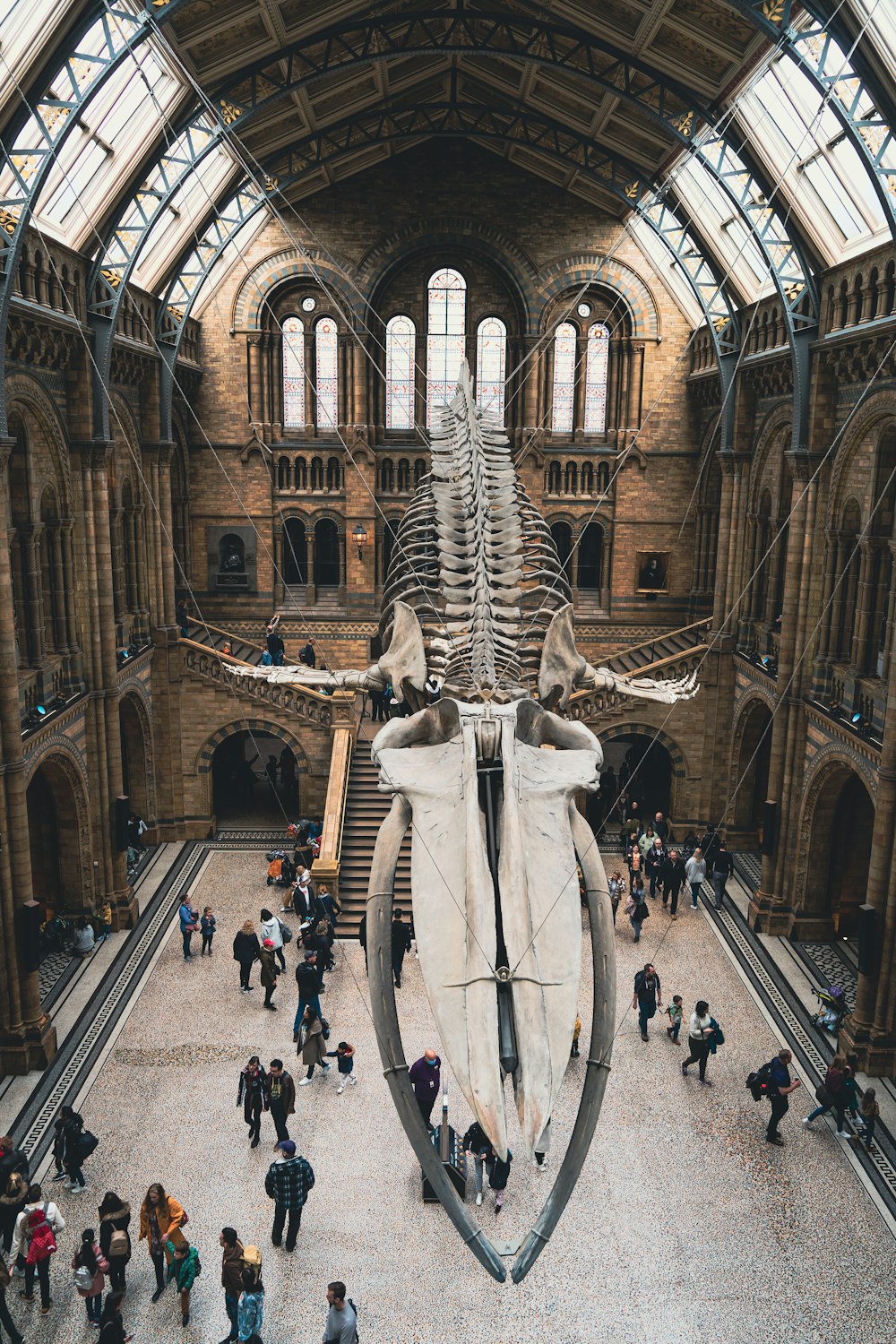 um grande esqueleto de baleia em um museu com pessoas andando ao redor