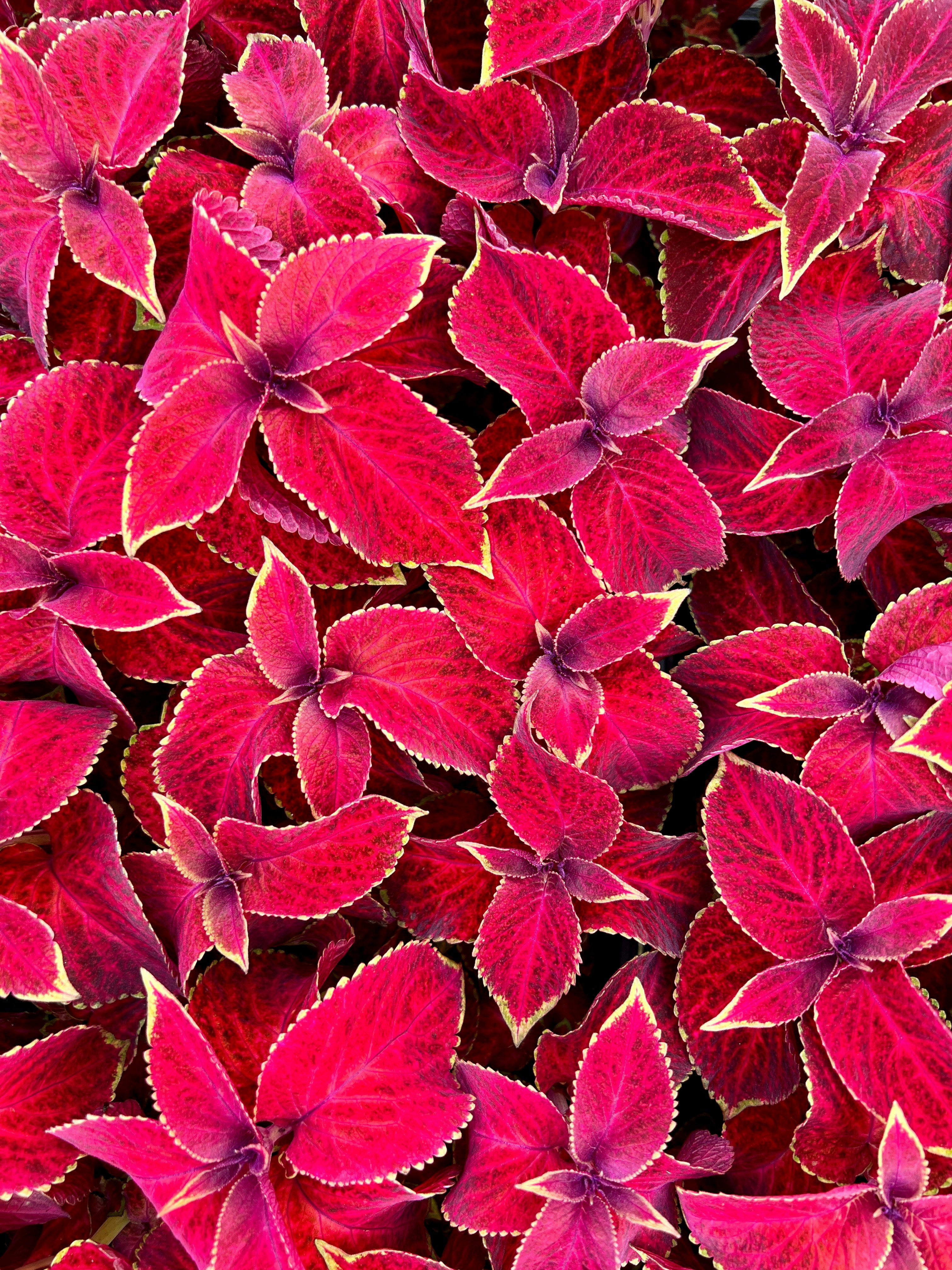 Photo by lbphotography