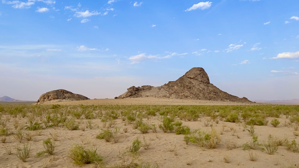 Eine Wüstenlandschaft mit einem Berg im Hintergrund