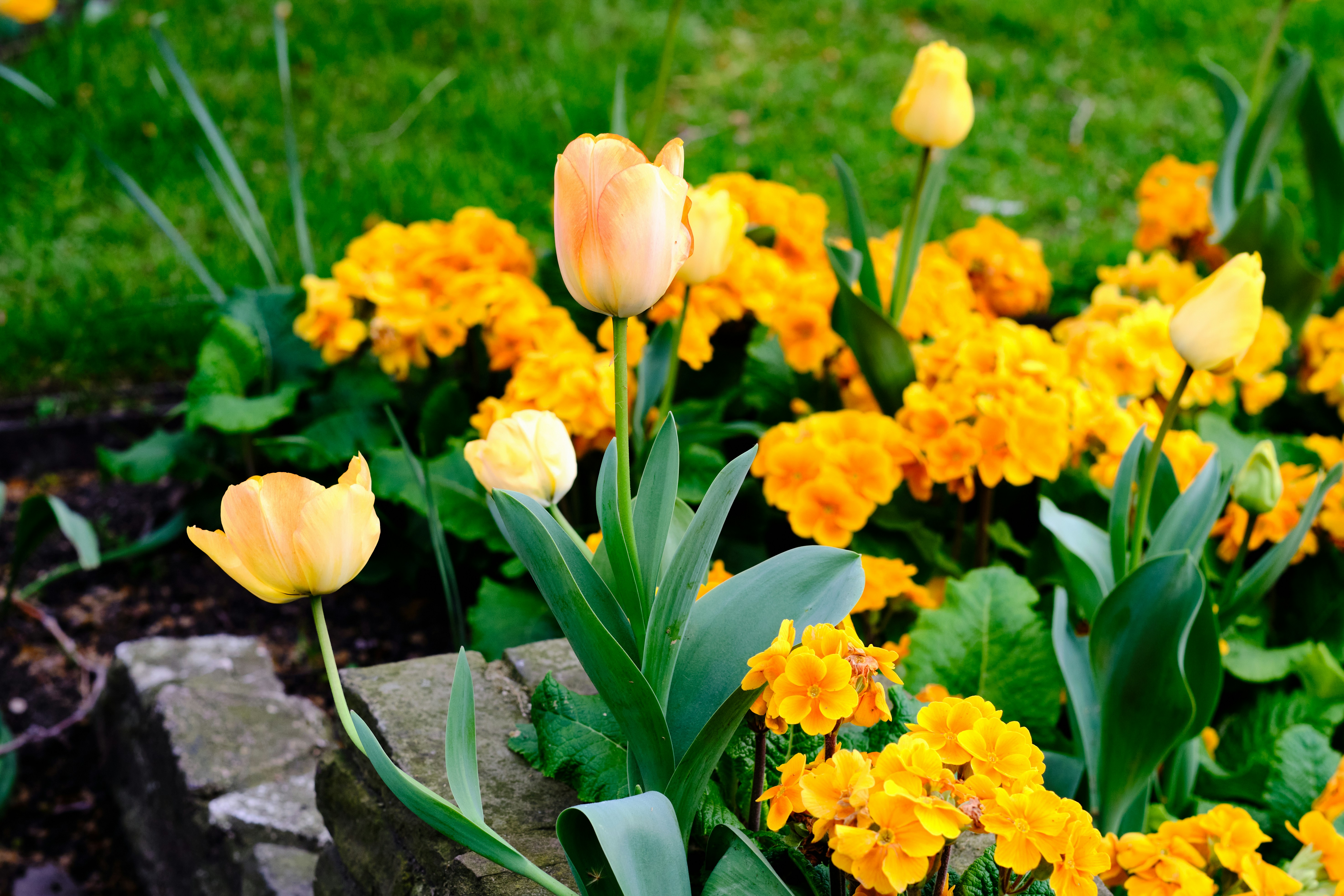 Photo by bullfishfighter