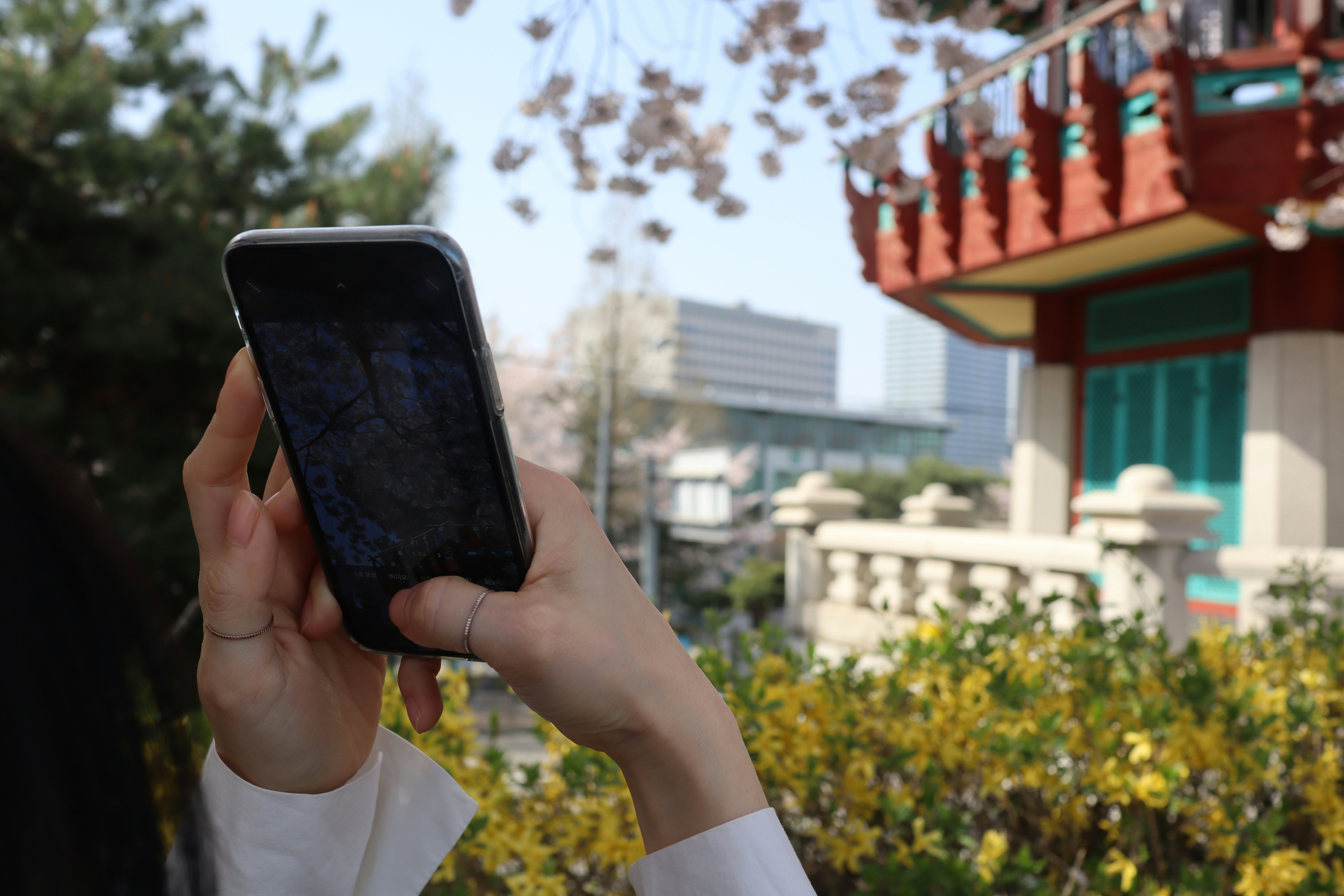 必要文件清单：