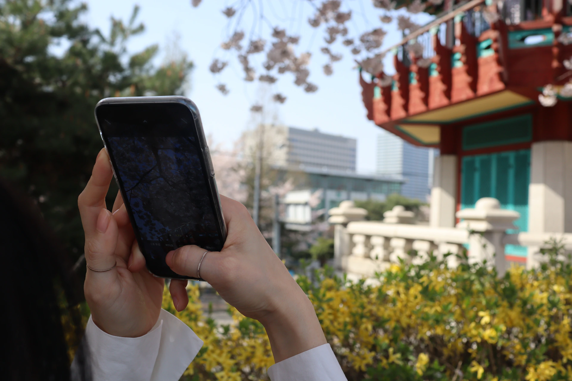 a woman holding a cell phone up to her face