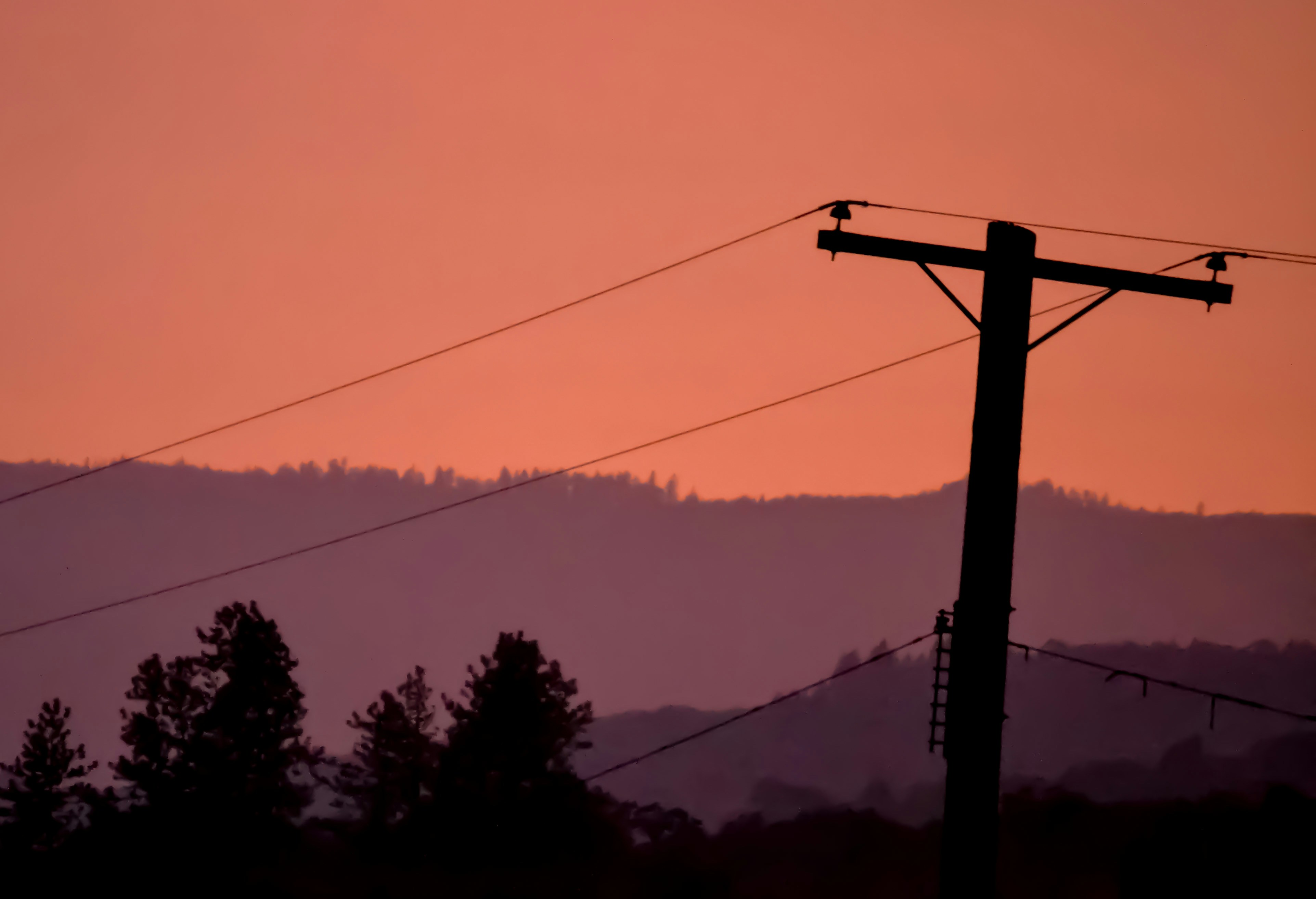 A telephone pole and some power lines and trees photo – Free Silhouette ...