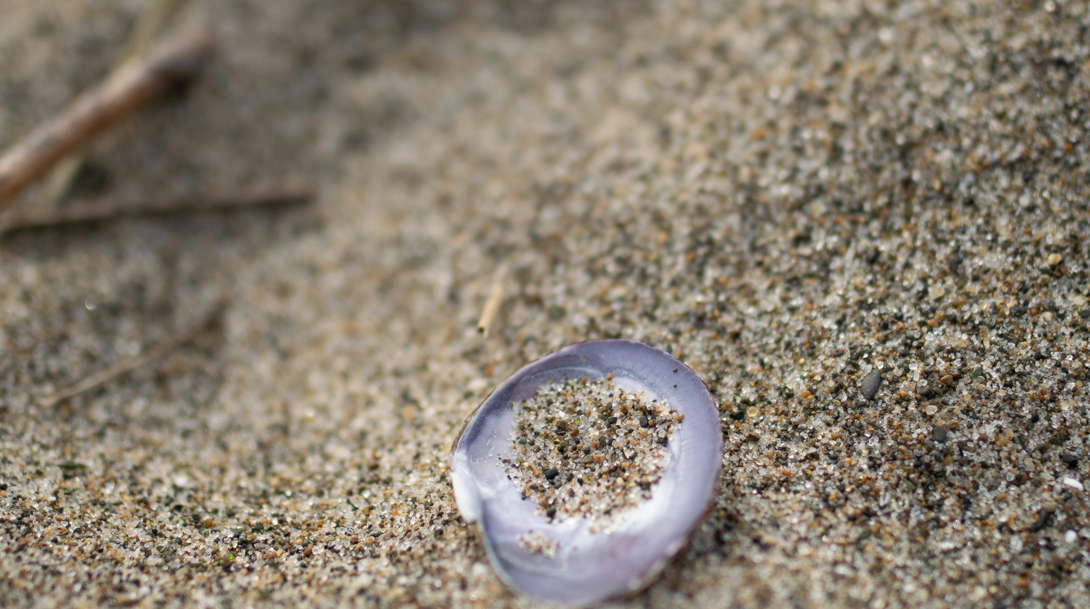 a piece of glass sitting on top of a sandy beach