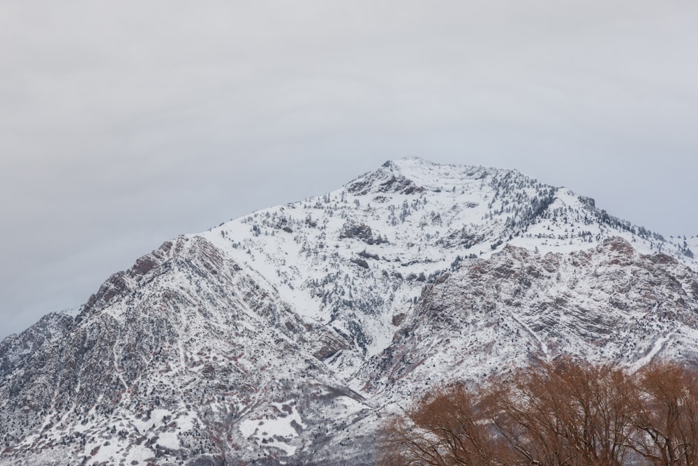 a snow covered mountain with trees in the foreground