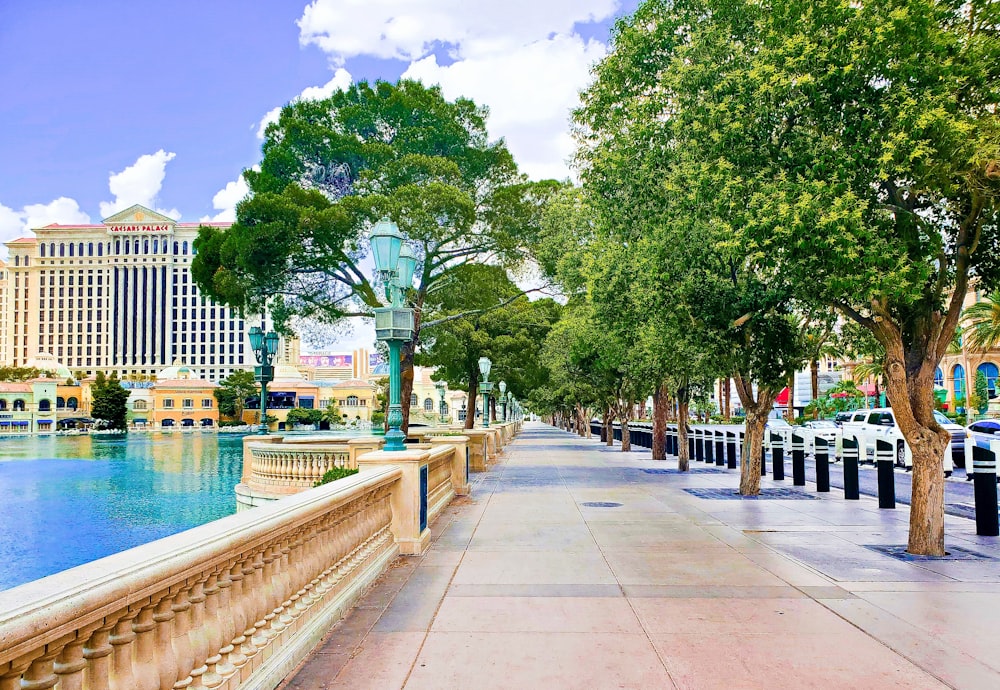 a street lined with trees next to a body of water