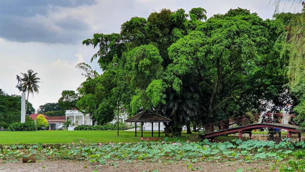 a park with trees and a bridge in the middle of it