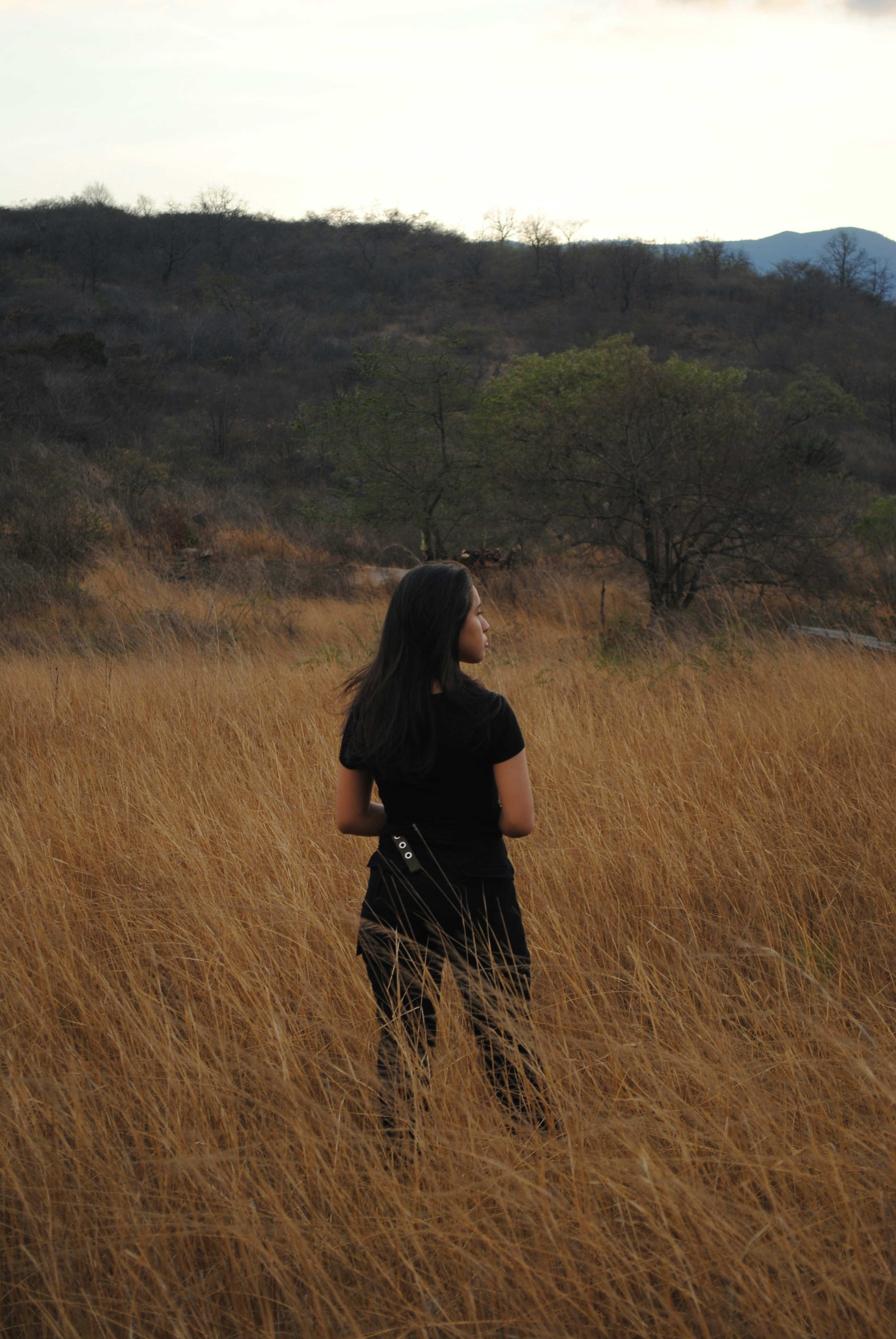 A woman standing in a field of tall grass photo – Free Nature ...