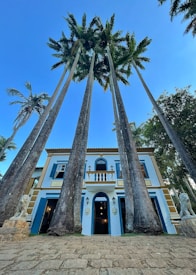 Tall palm trees line the pathway leading to an elegant, two-story colonial building with a symmetrical design. The facade features blue window shutters and decorative elements, flanked by two stone lion statues.