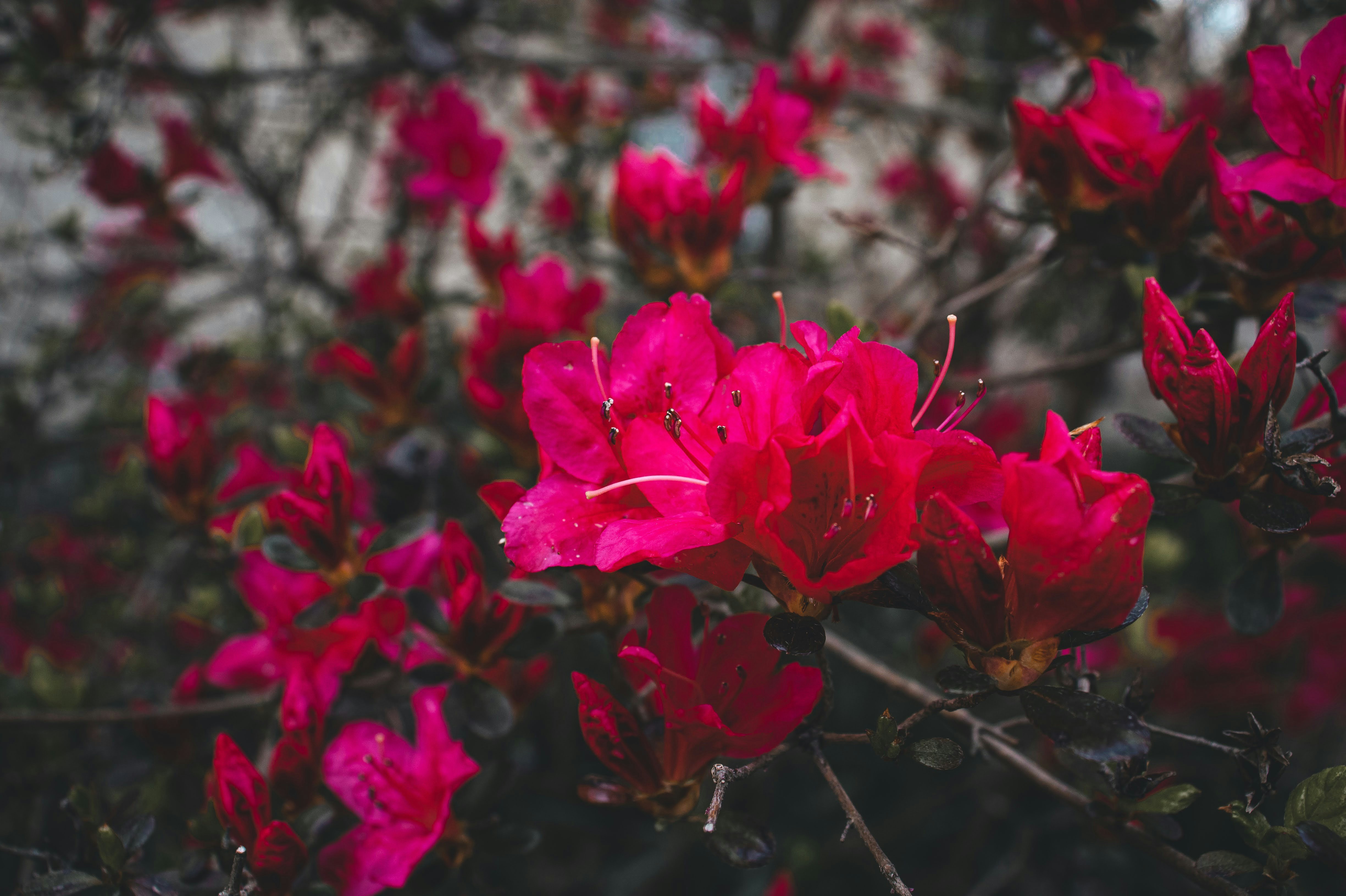 Photo by brice_cooper18