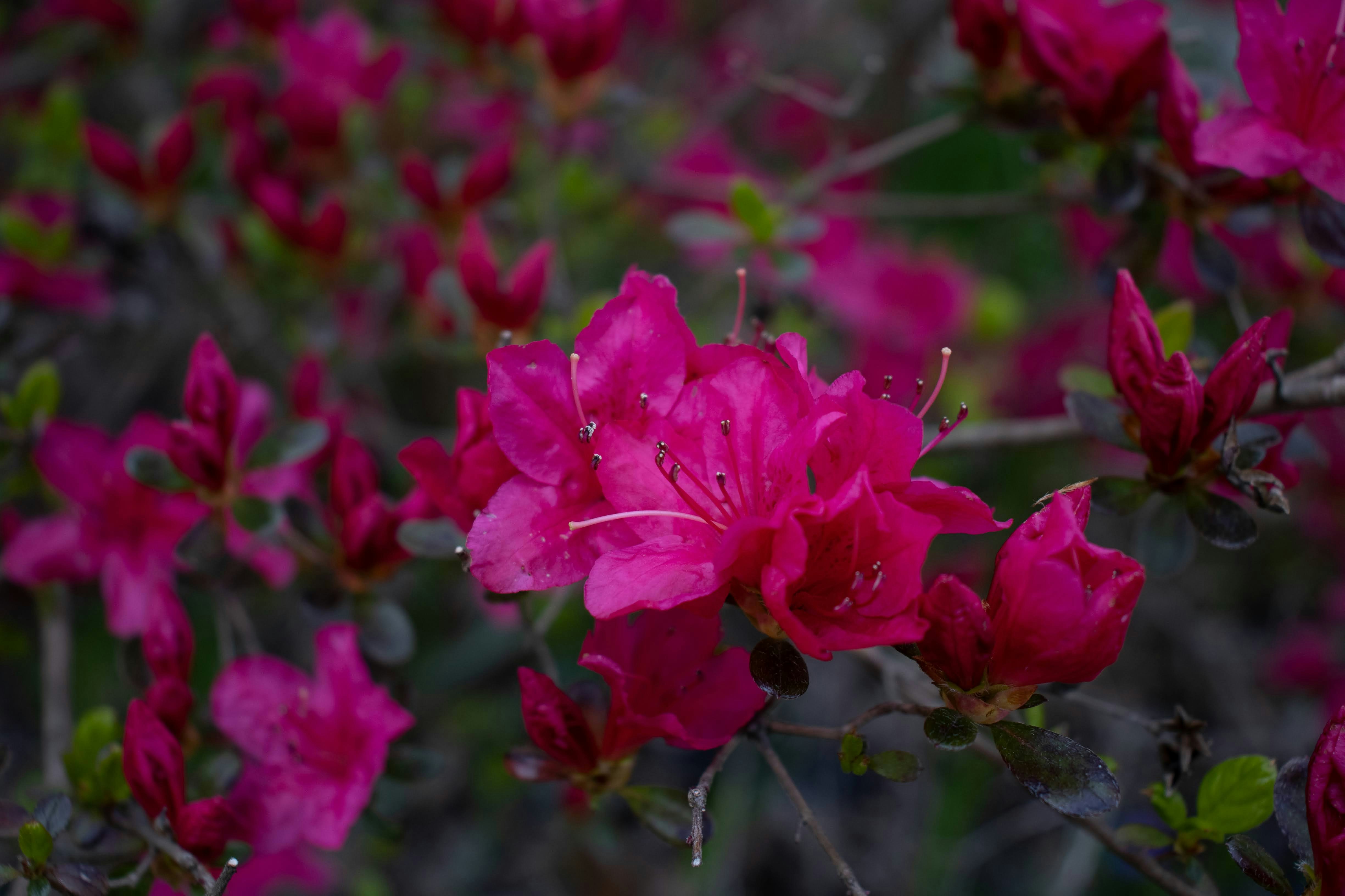 Photo by brice_cooper18