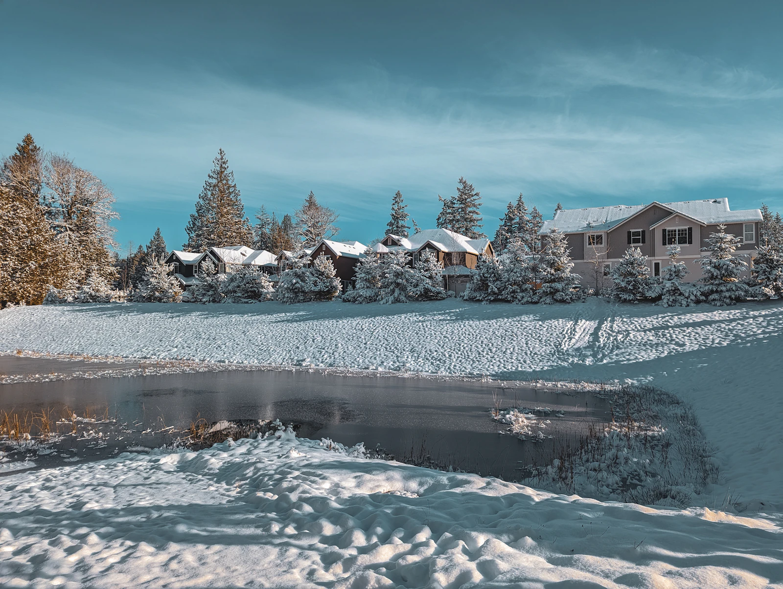 Snow-covered suburban houses and frosted evergreens around a half-frozen pond under a winter-blue sky