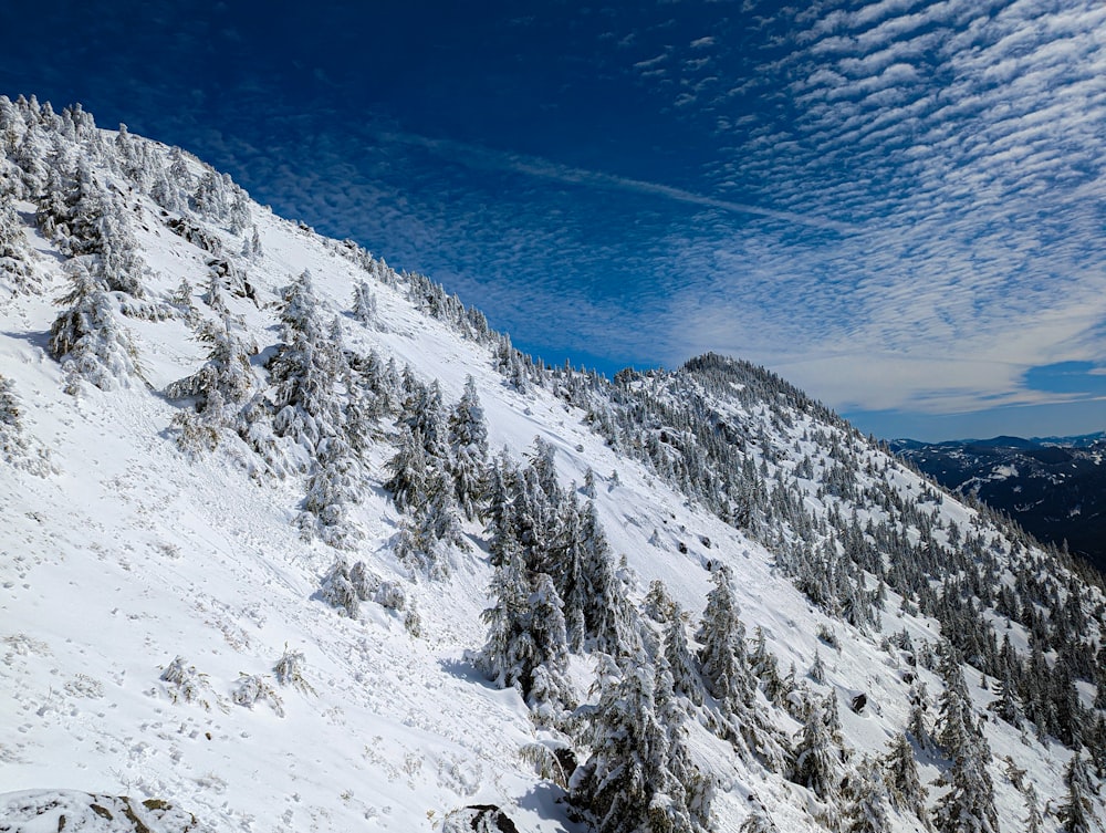 a snow covered mountain with trees on the side