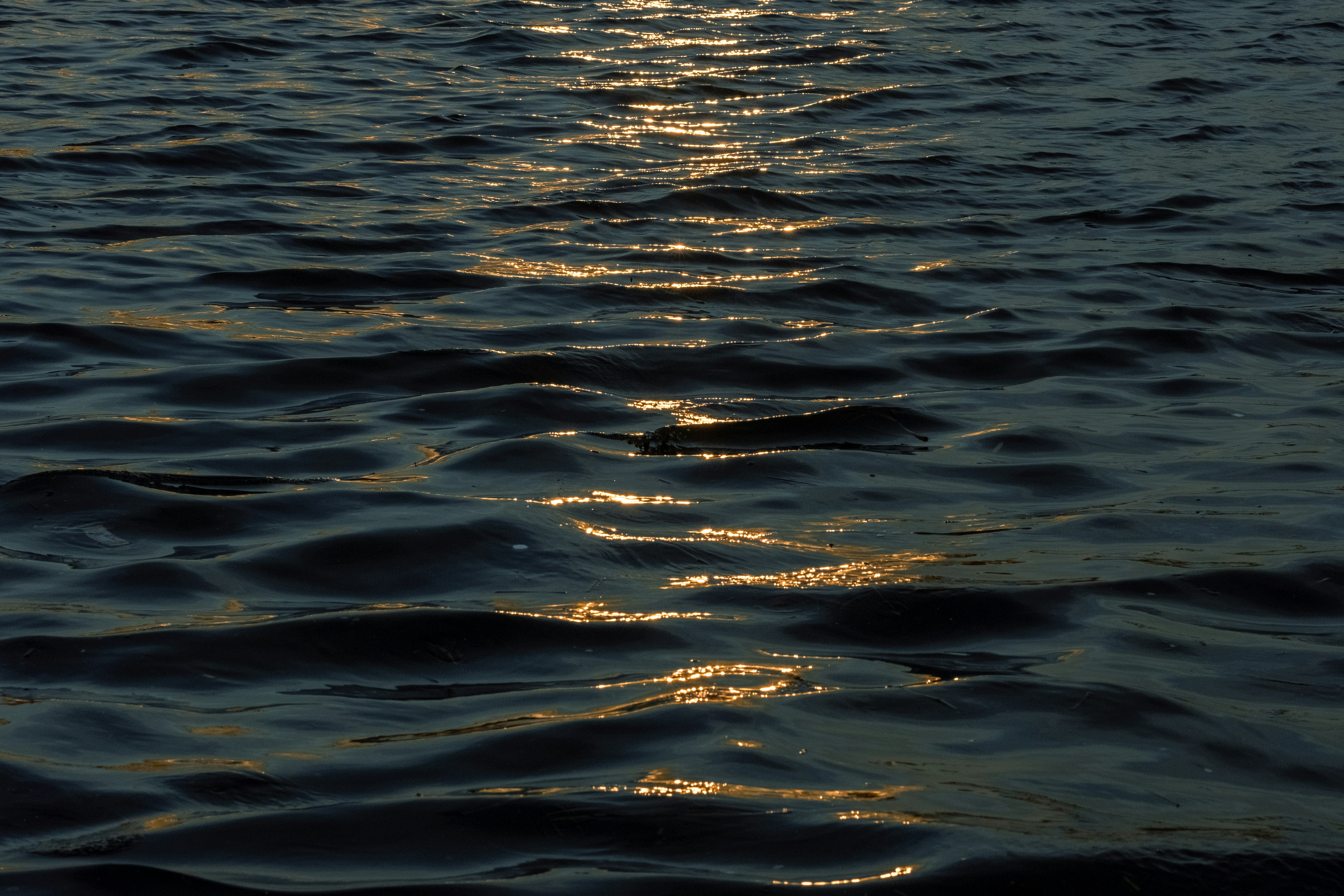 A body of water with a boat in the distance photo – Free Grey Image on ...