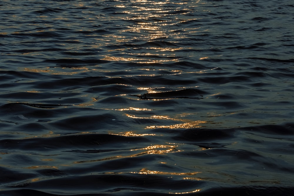 a body of water with a boat in the distance