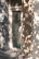 A glass door with a textured pattern is set within a stone or marble-walled exterior. Shadows of tree leaves are cast on the wall and door, creating a natural and textured interplay of light. The scene is tranquil, featuring a combination of man-made and natural elements.