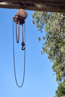 a chain hoist attached to a pine tree