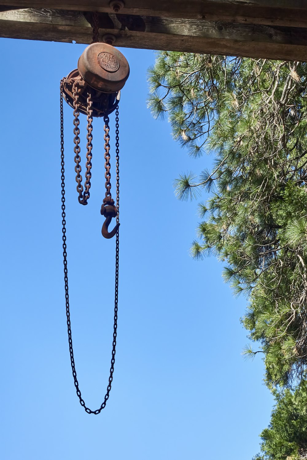 a chain hoist attached to a pine tree