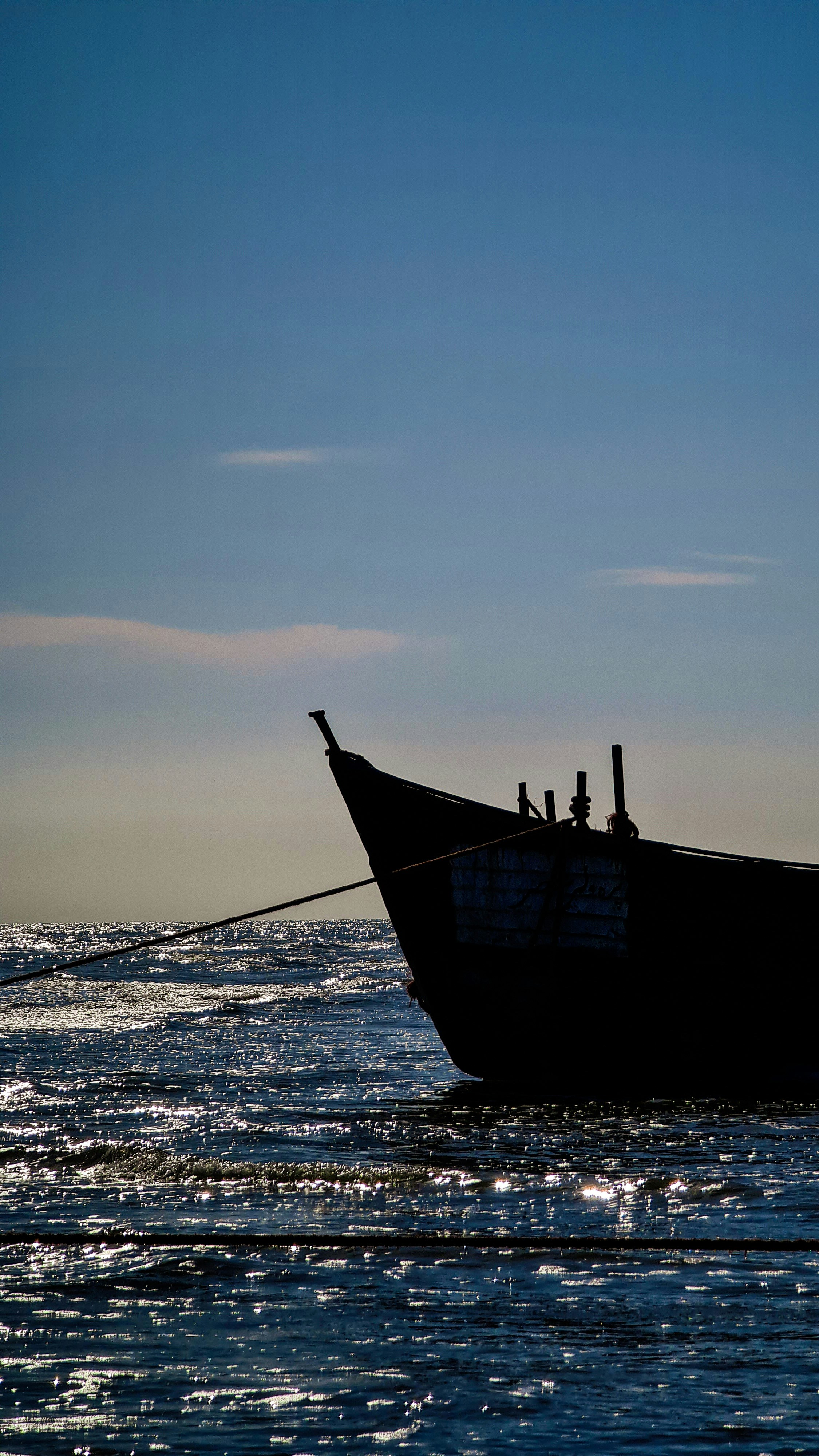 Photo by afshariam82