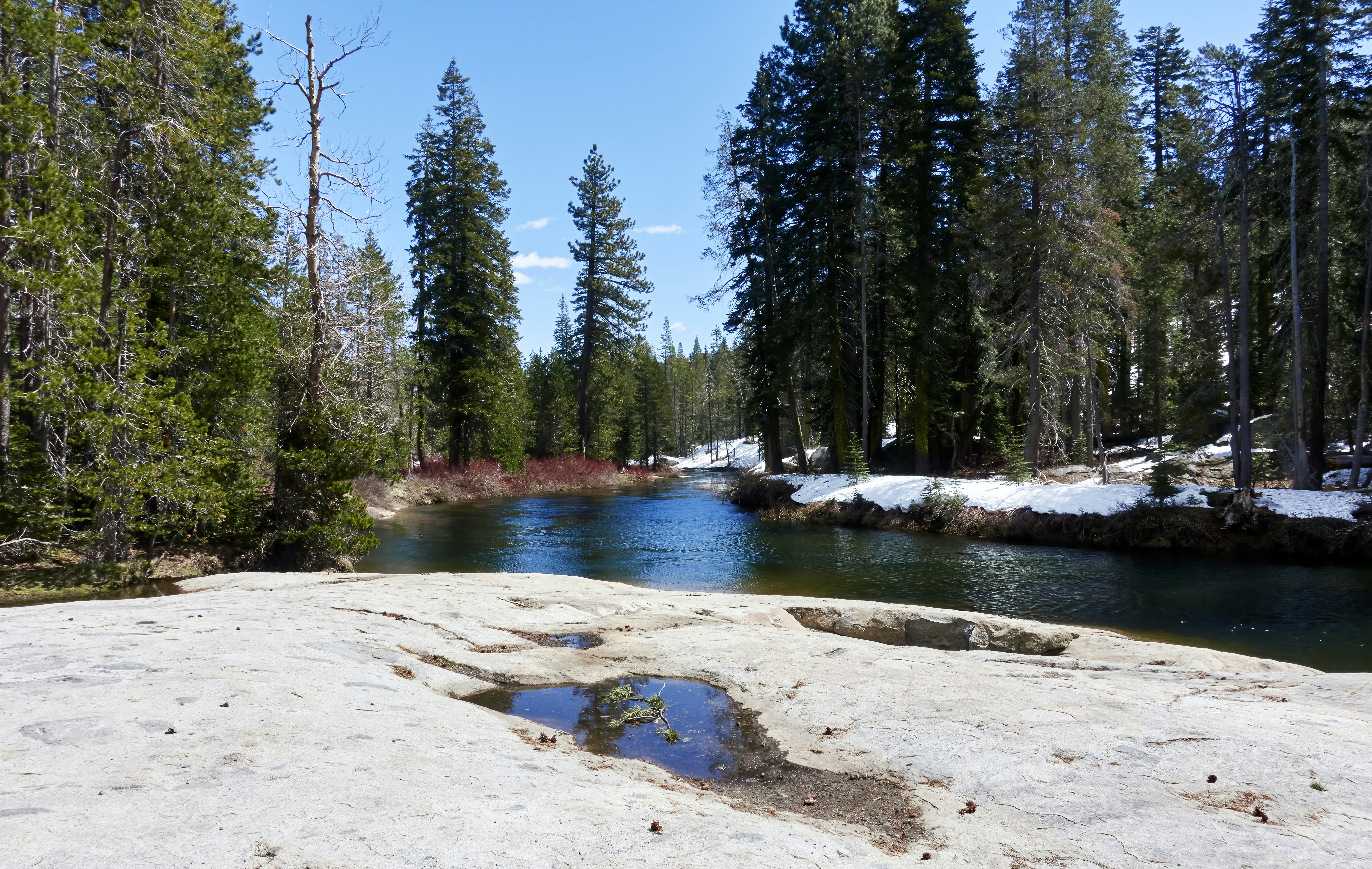 Photo by bullterriere