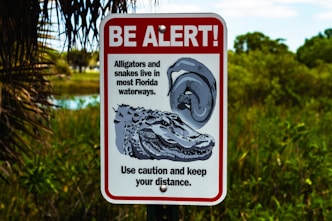 a sign warning of alligators in the water