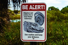 a sign warning of alligators in the water