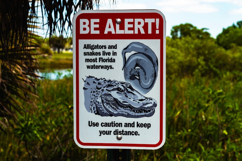 a sign warning of alligators in the water