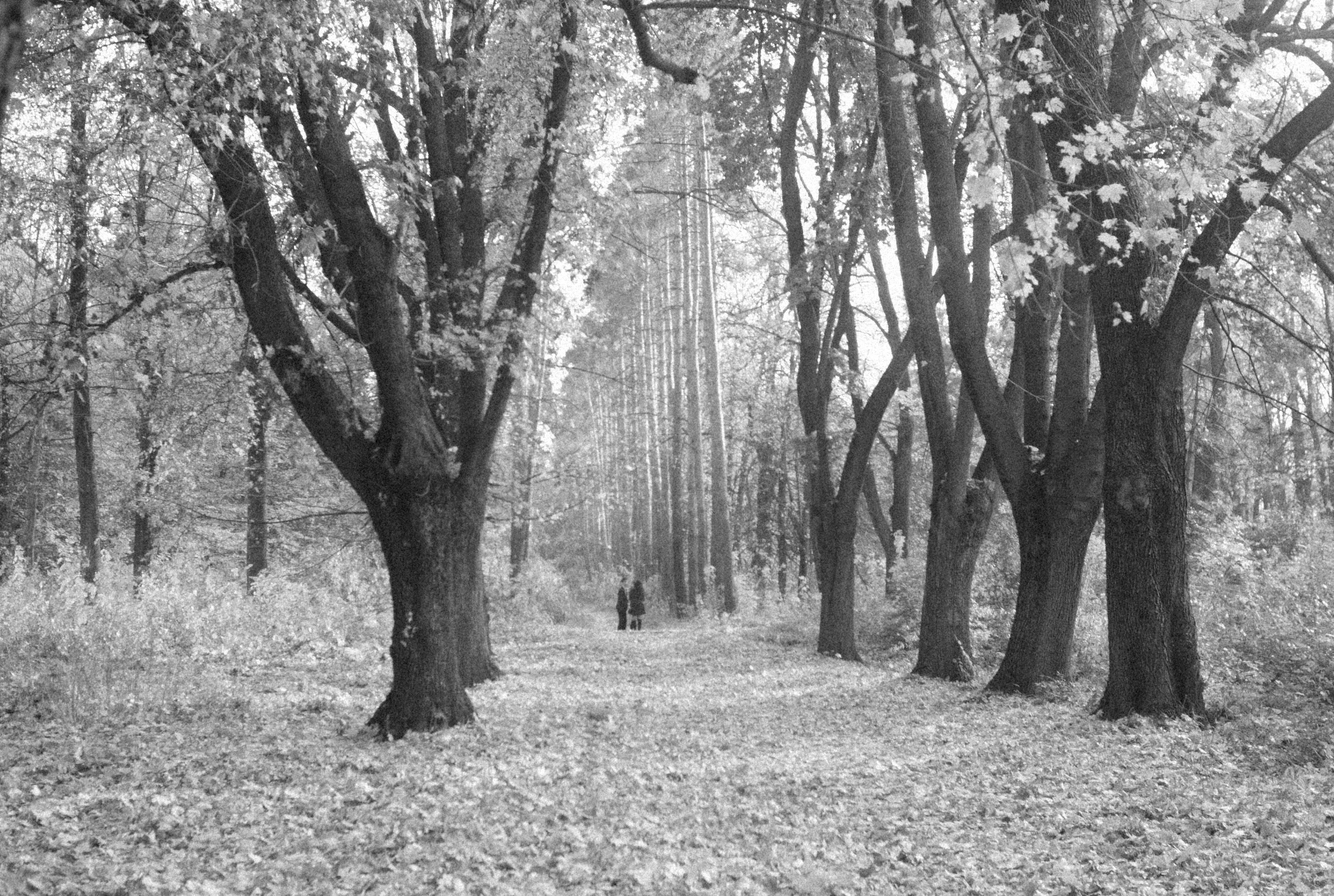 Photo by alexeydemidov