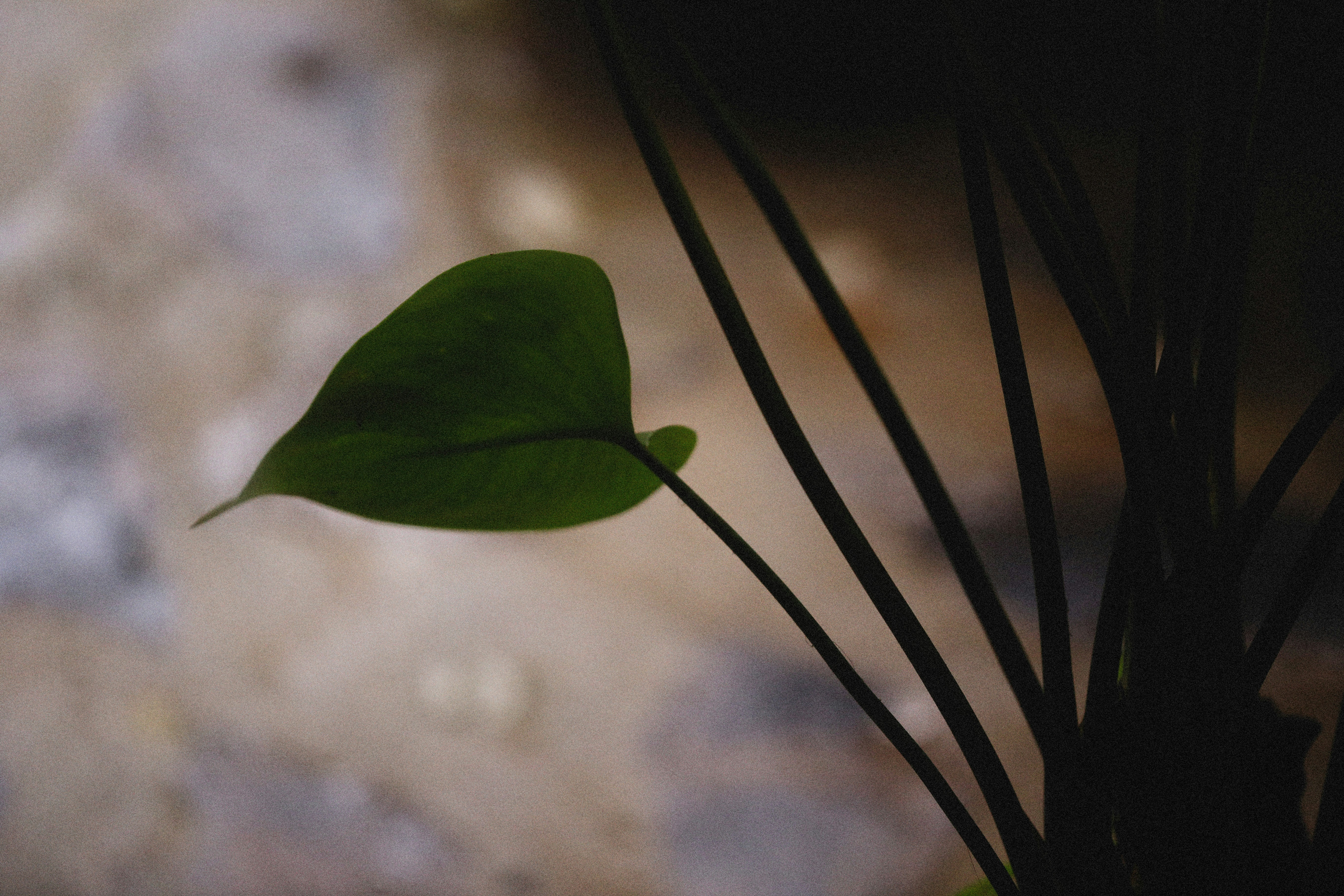 Photo by alexeydemidov