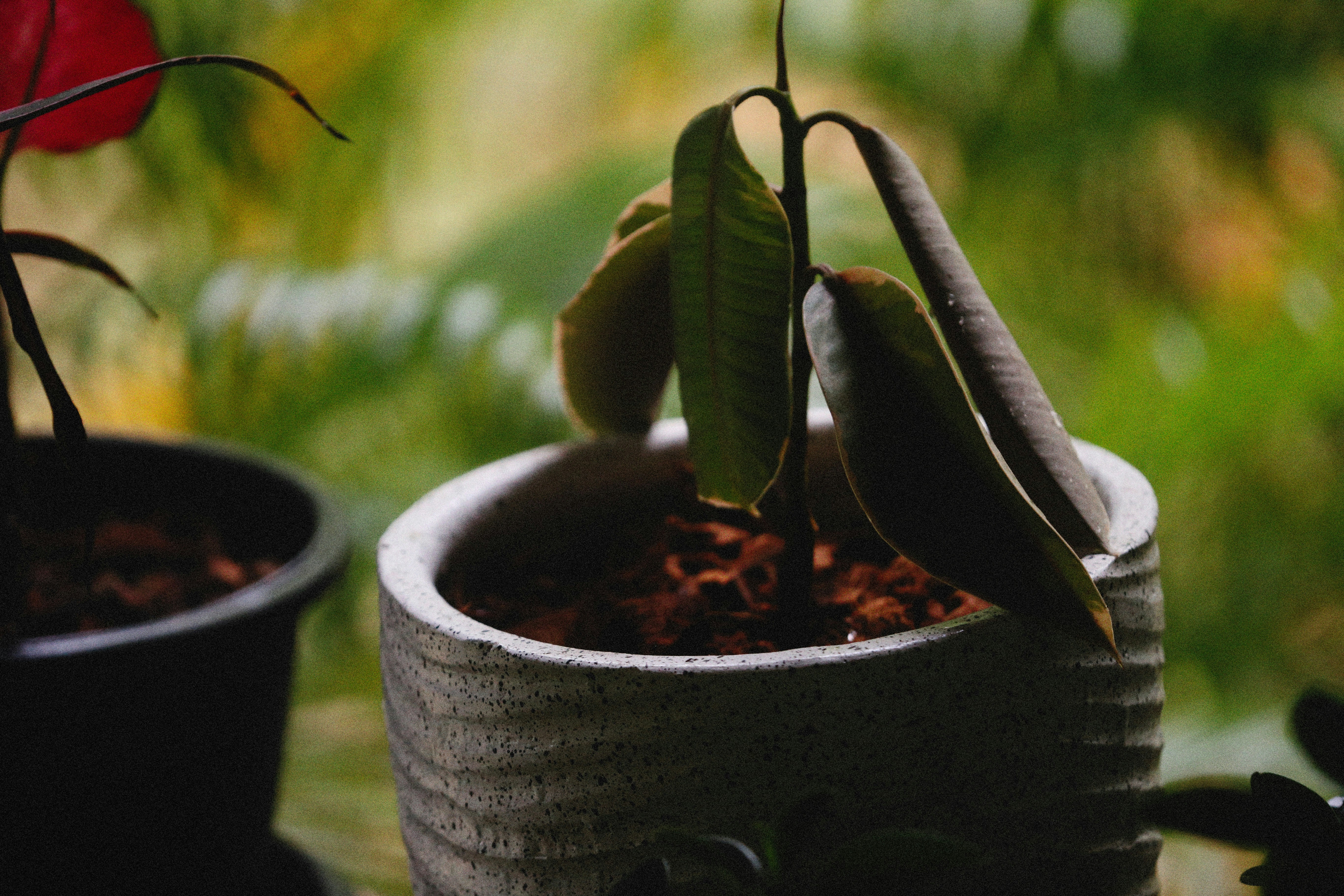 Photo by alexeydemidov