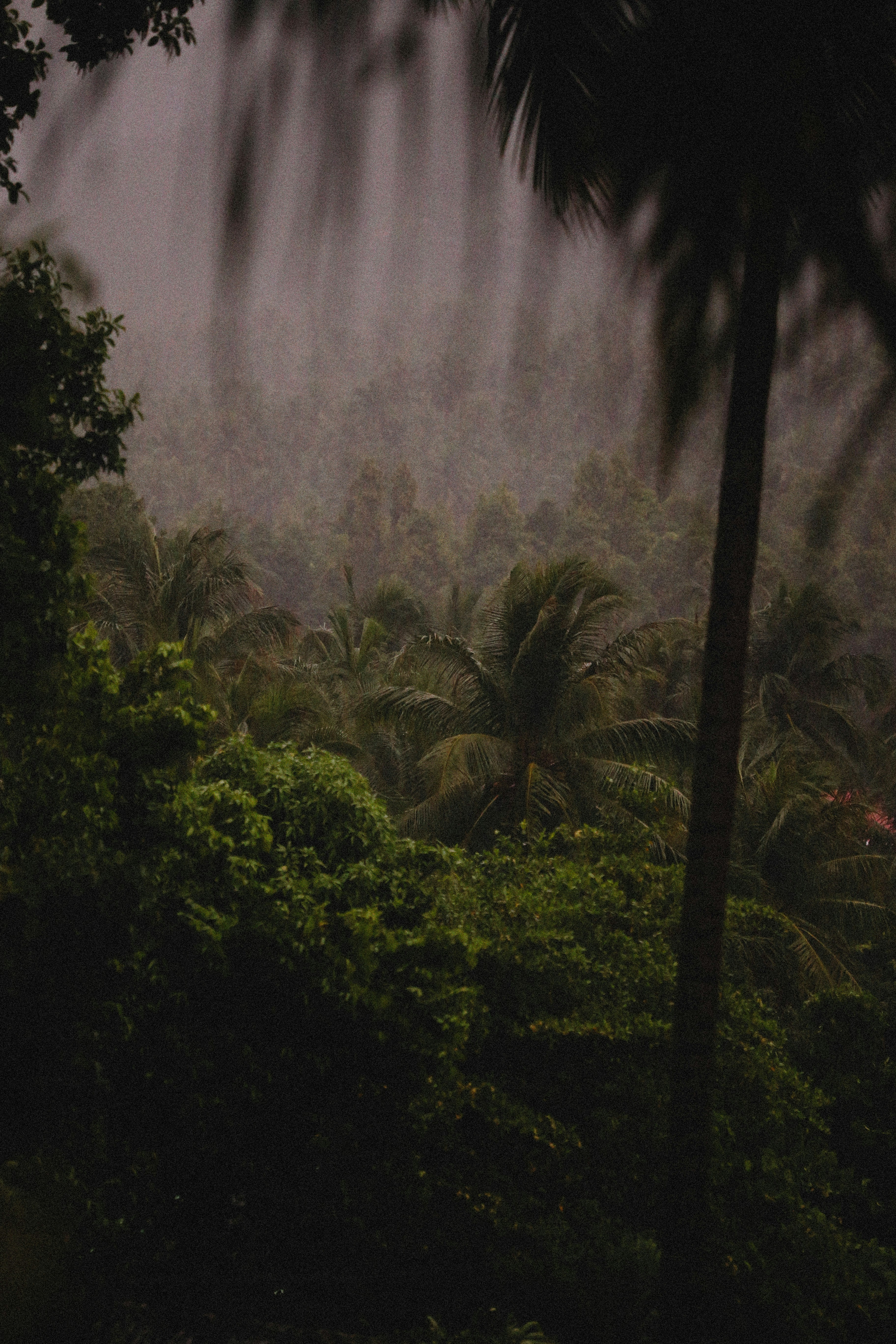 Photo by alexeydemidov