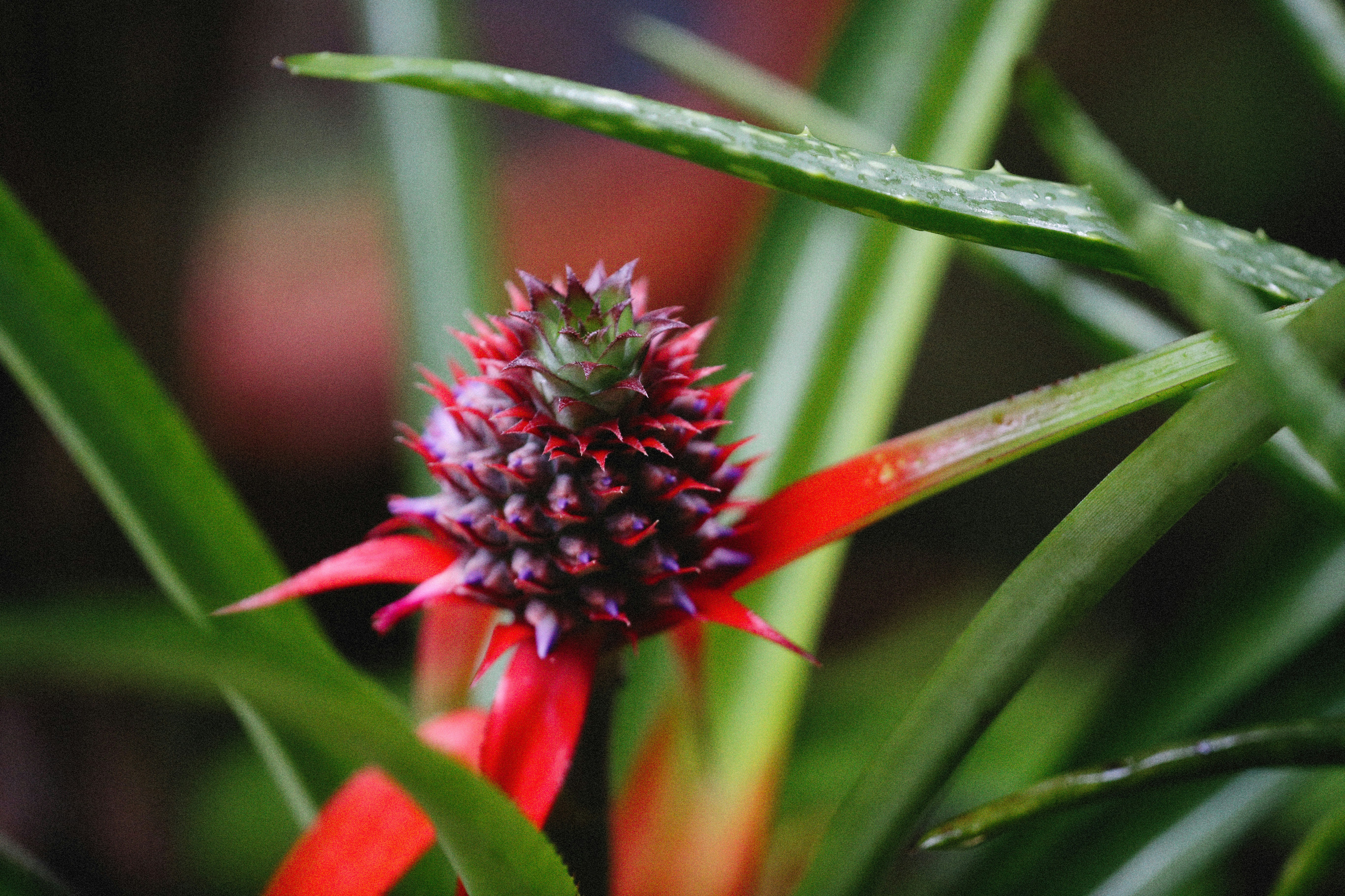 Photo by alexeydemidov