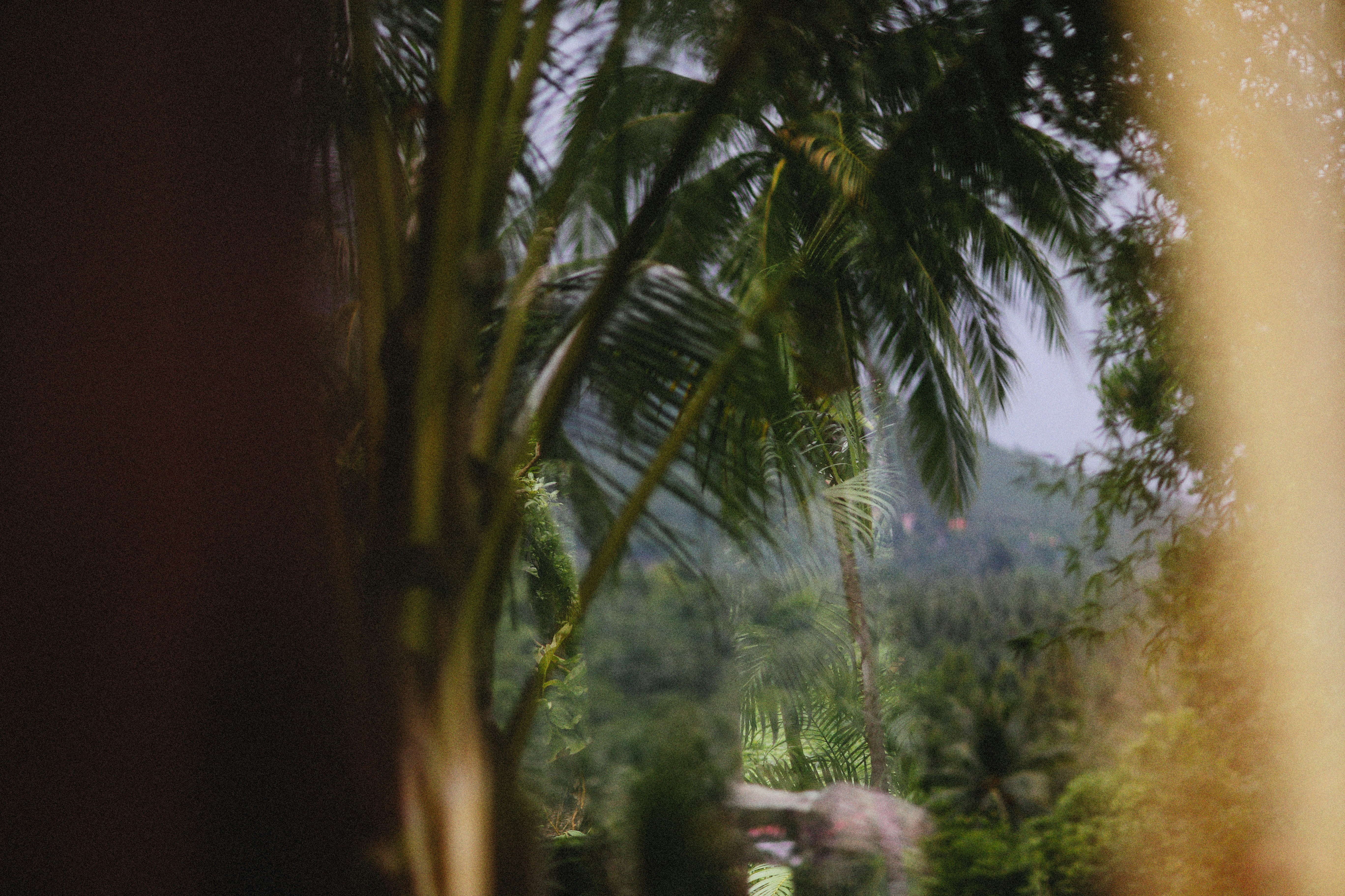 Photo by alexeydemidov