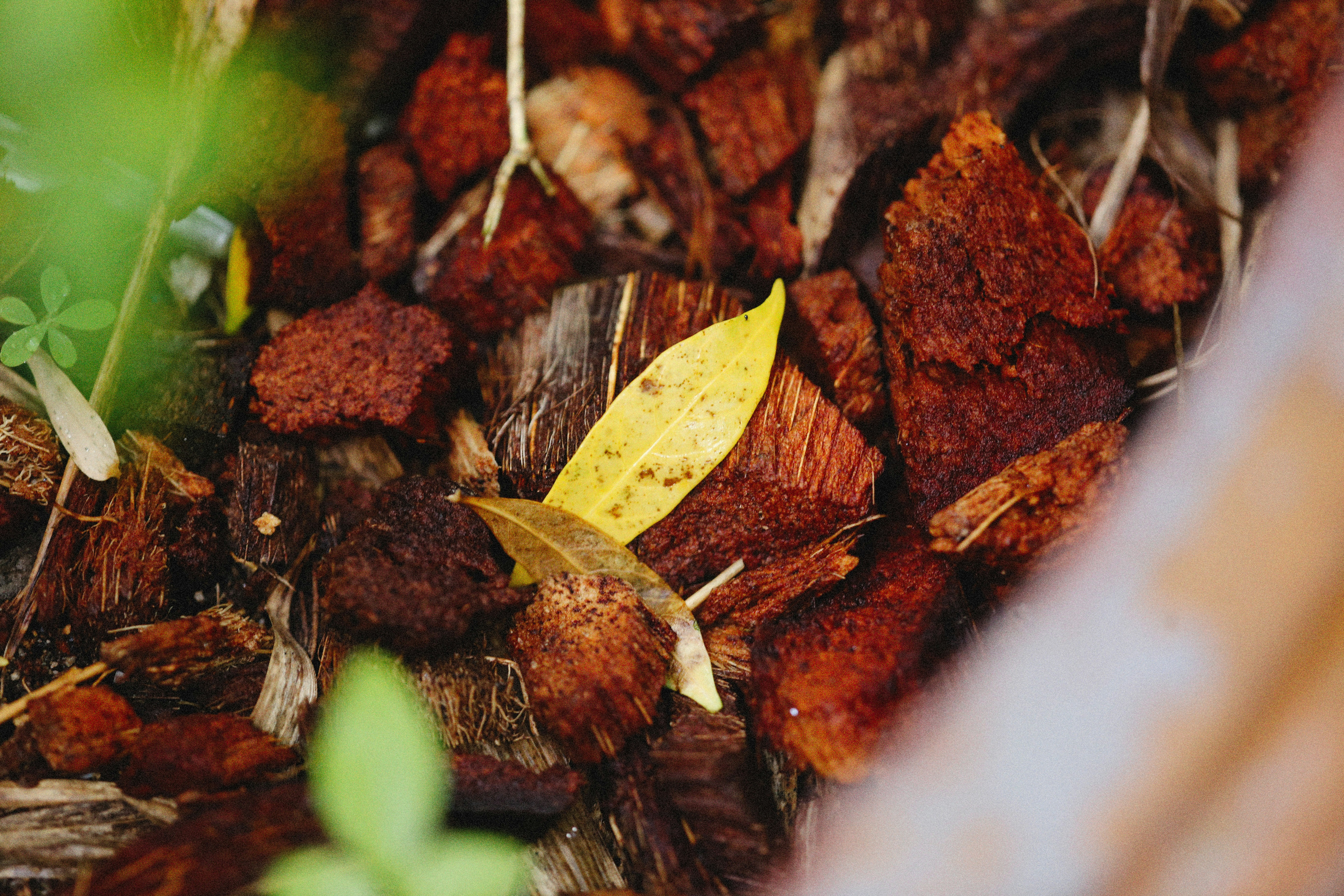 Photo by alexeydemidov