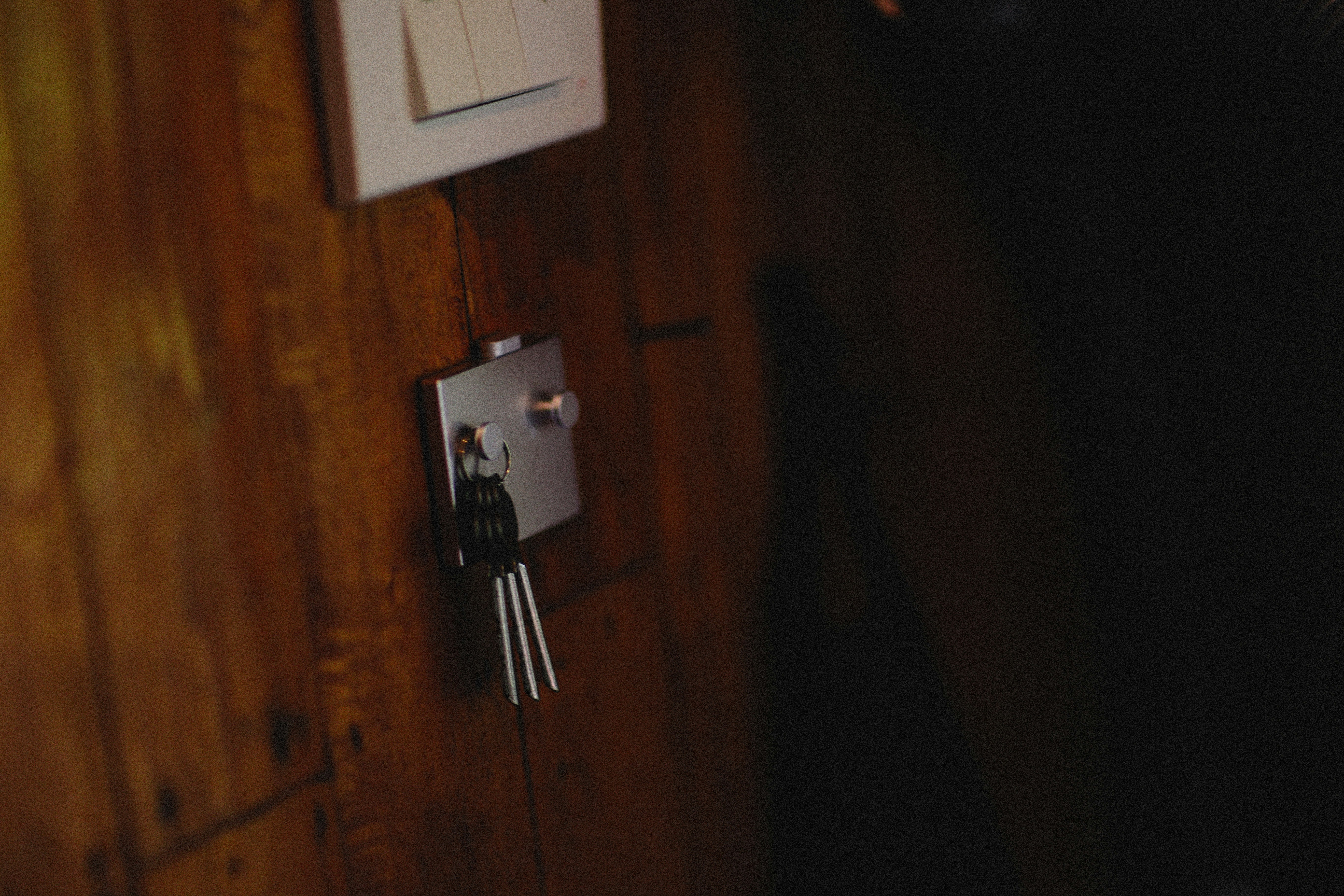 Photo by alexeydemidov