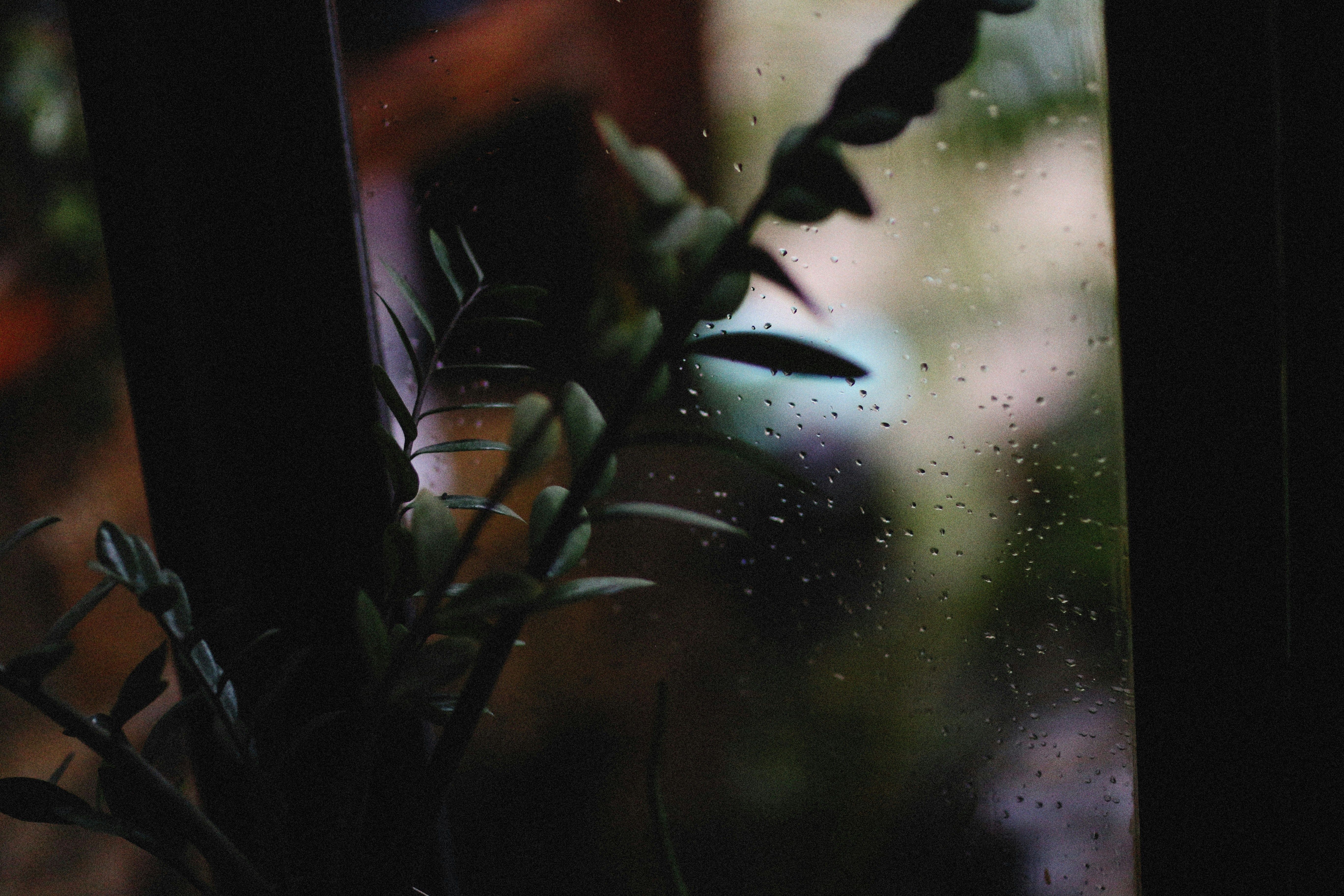 Photo by alexeydemidov