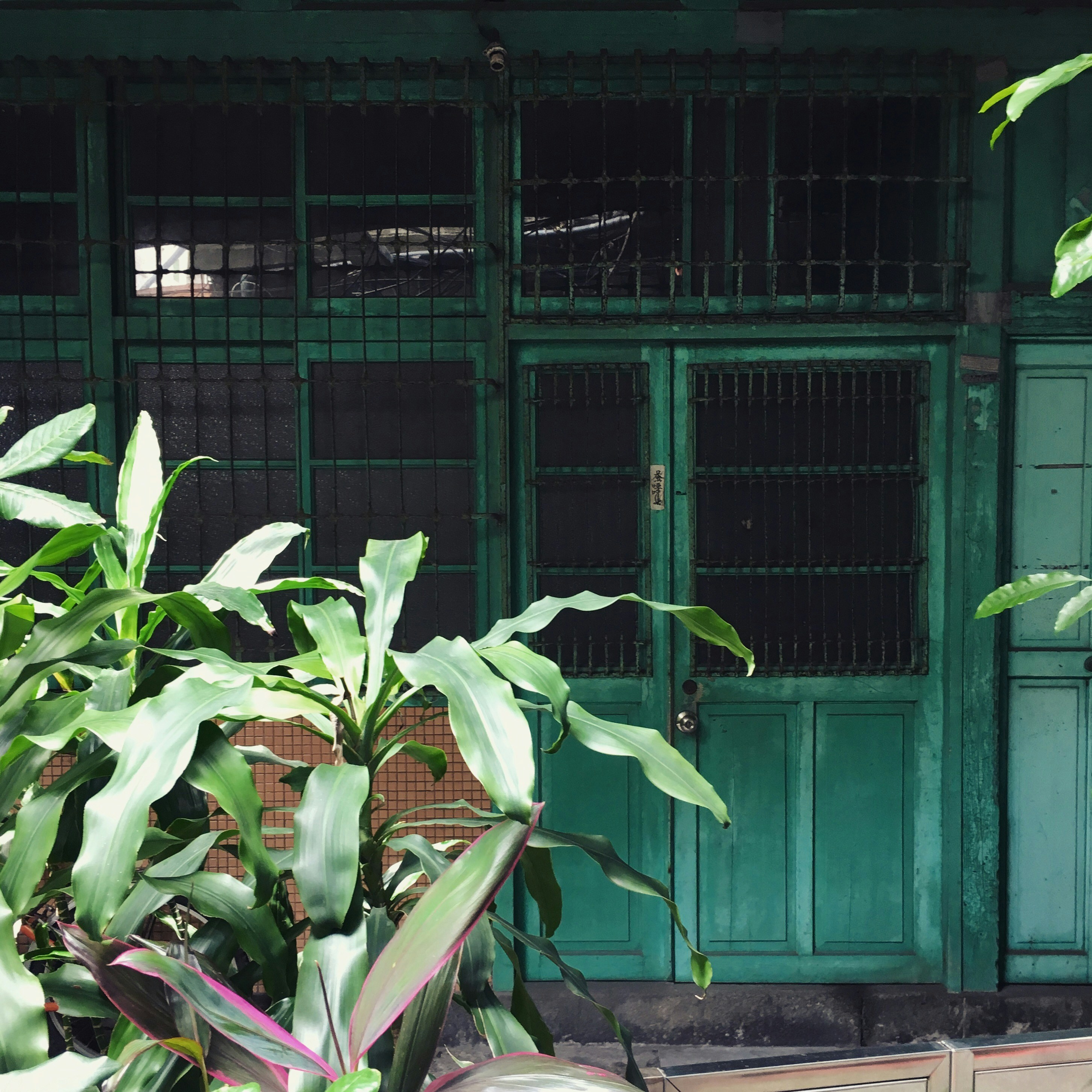 a green building with a green door and window