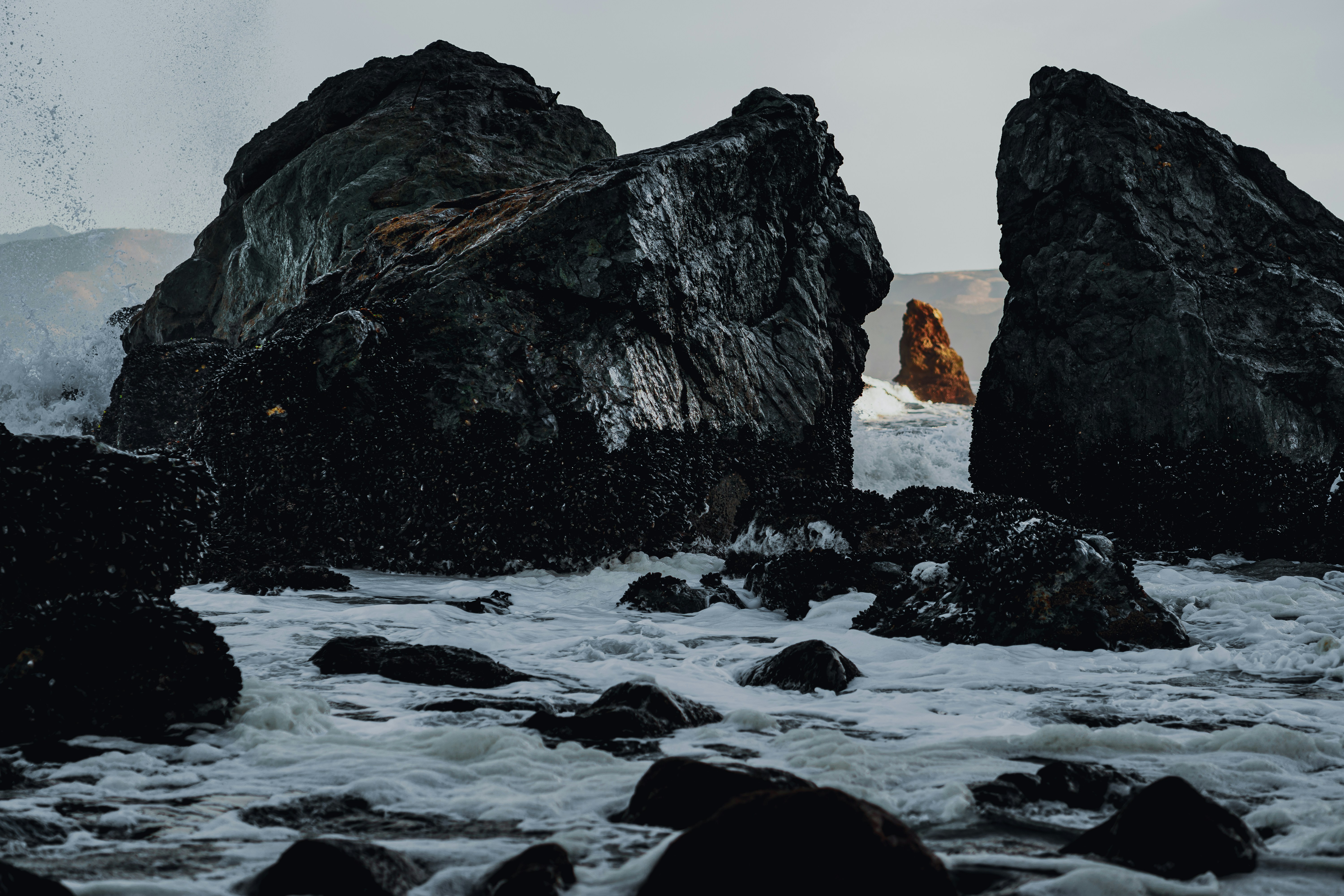 Photo by kalaniparker