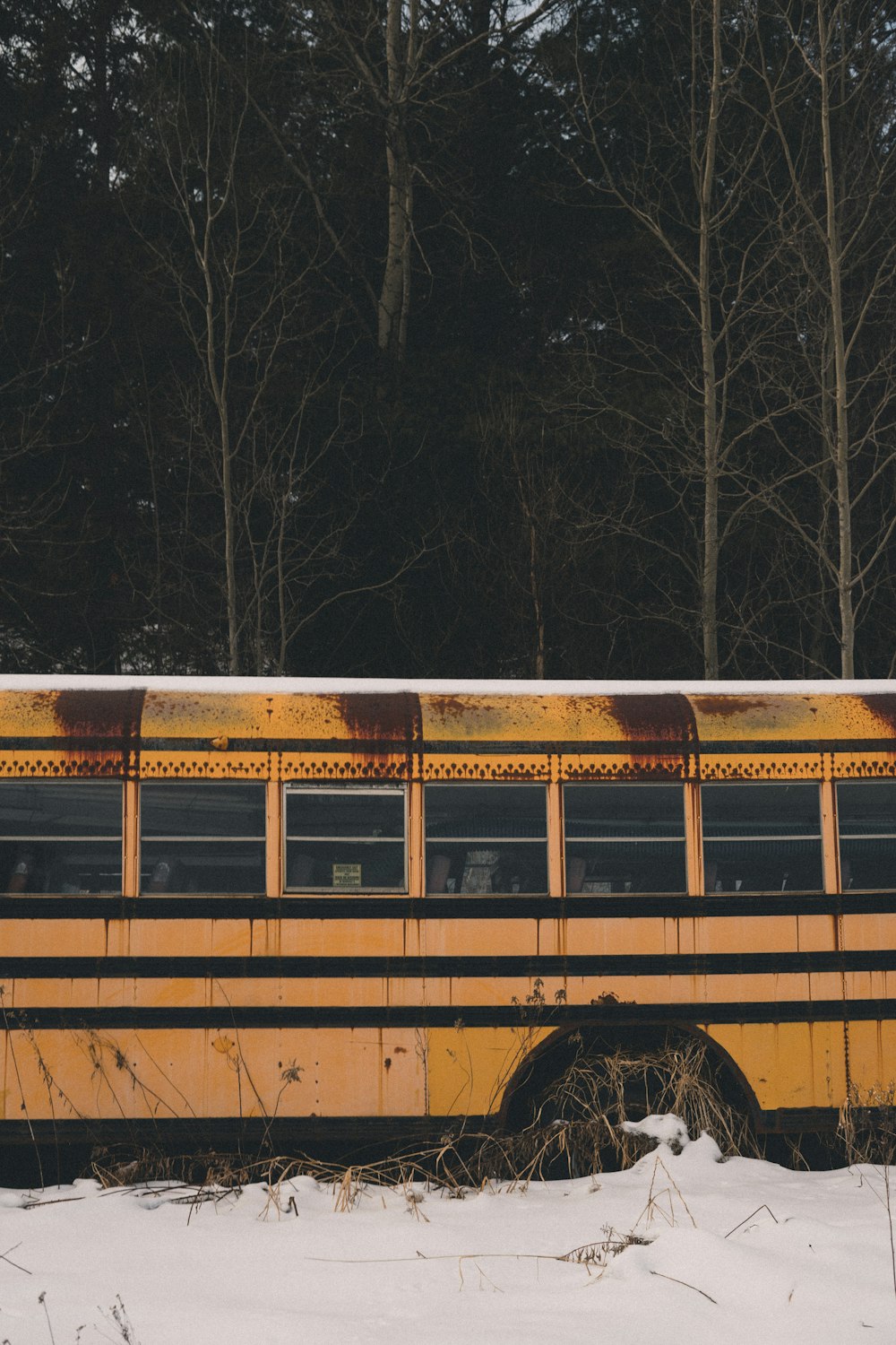 a yellow school bus parked in the snow