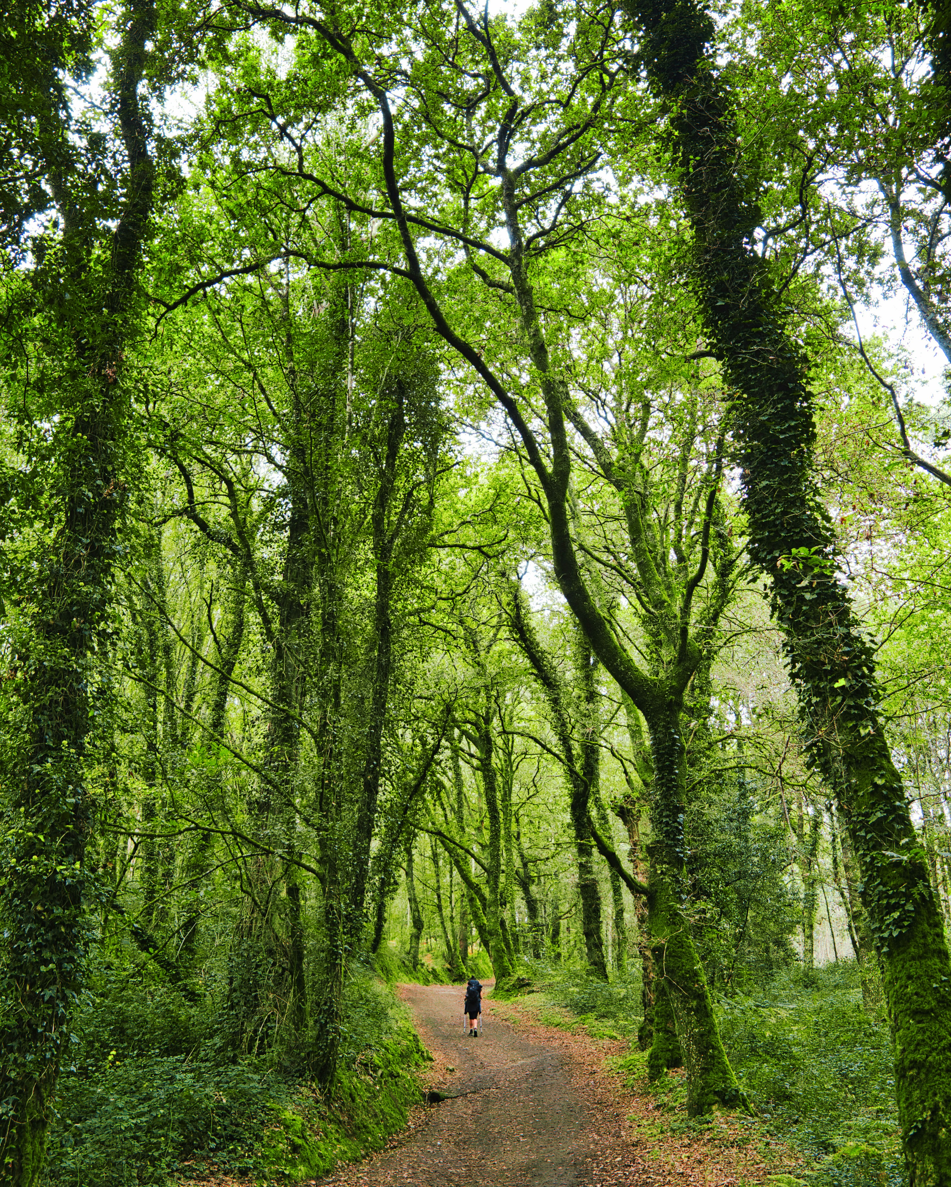 Photo by wanderingconner