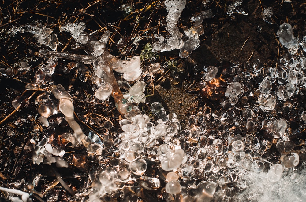 a bunch of ice crystals on the ground