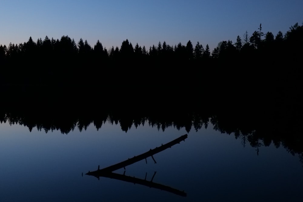 a lake with a tree line in the background