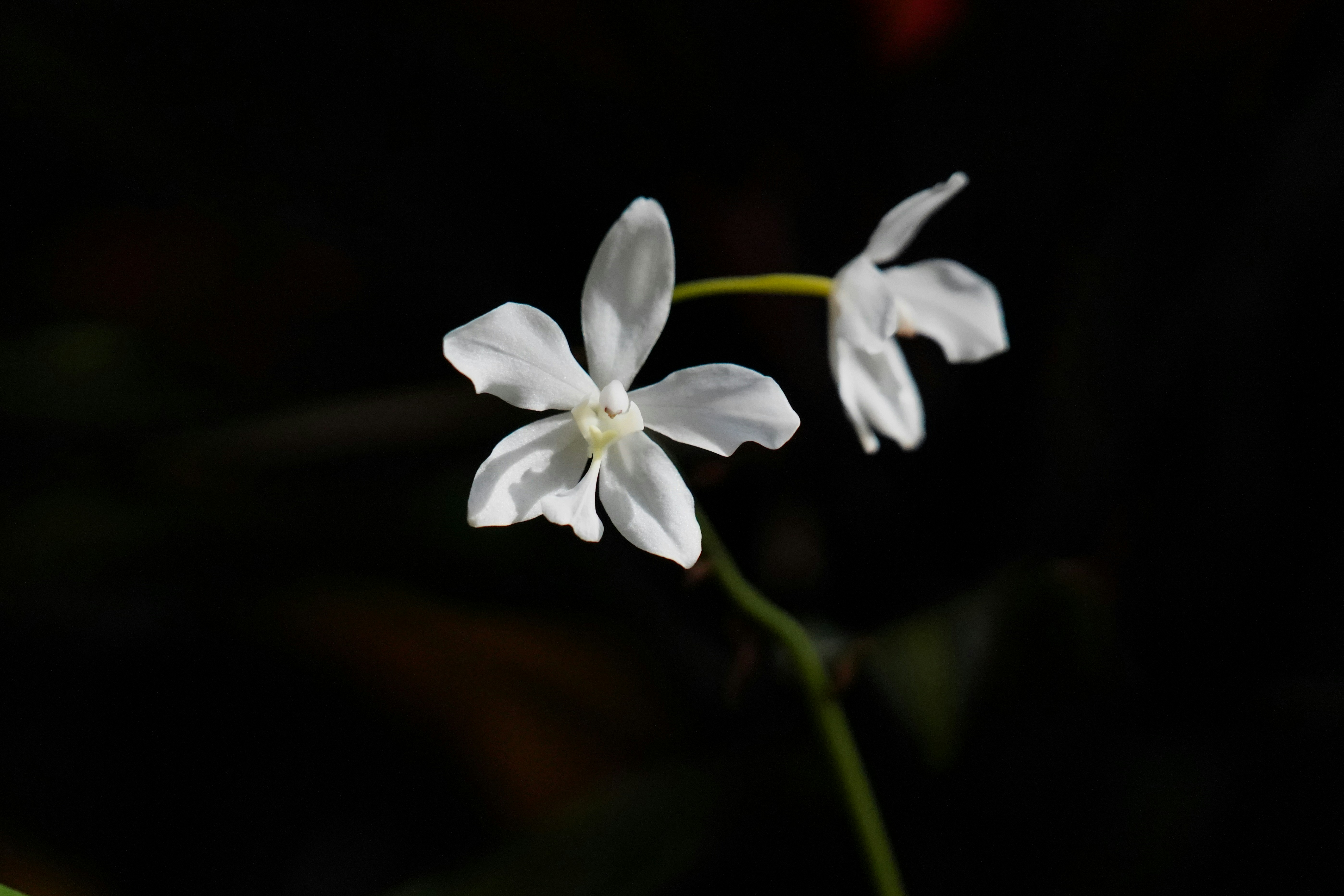 Photo by tang_shangbin