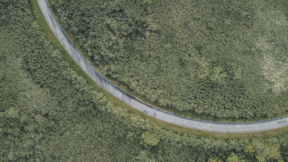 an aerial view of a curved road in the middle of a forest