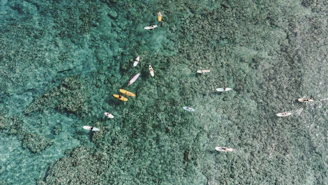 a group of people on surfboards in the water