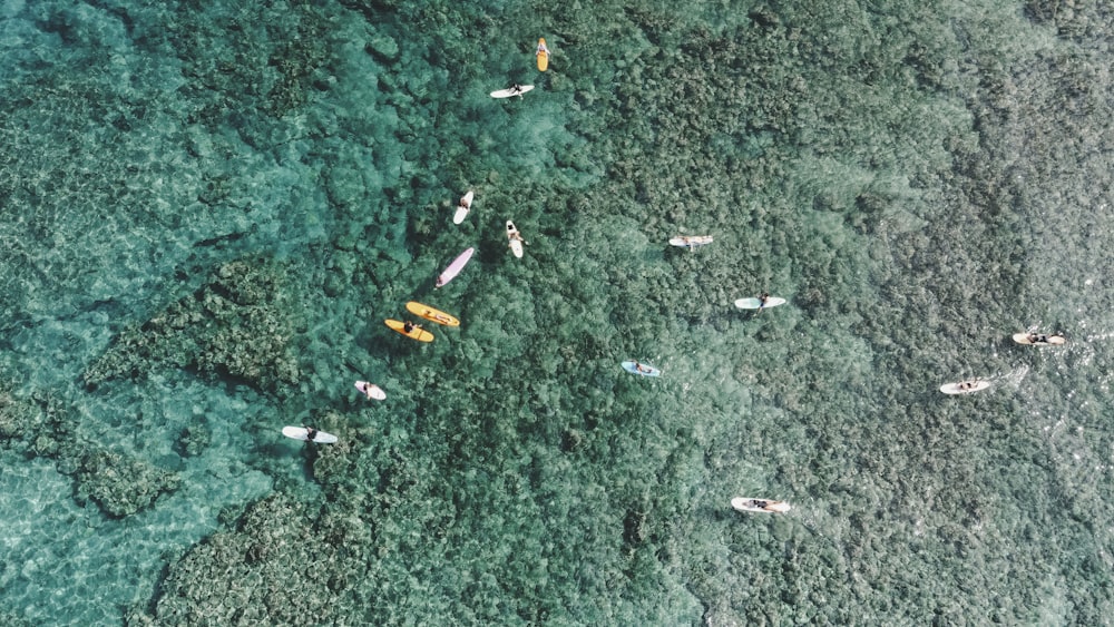 a group of people on surfboards in the water